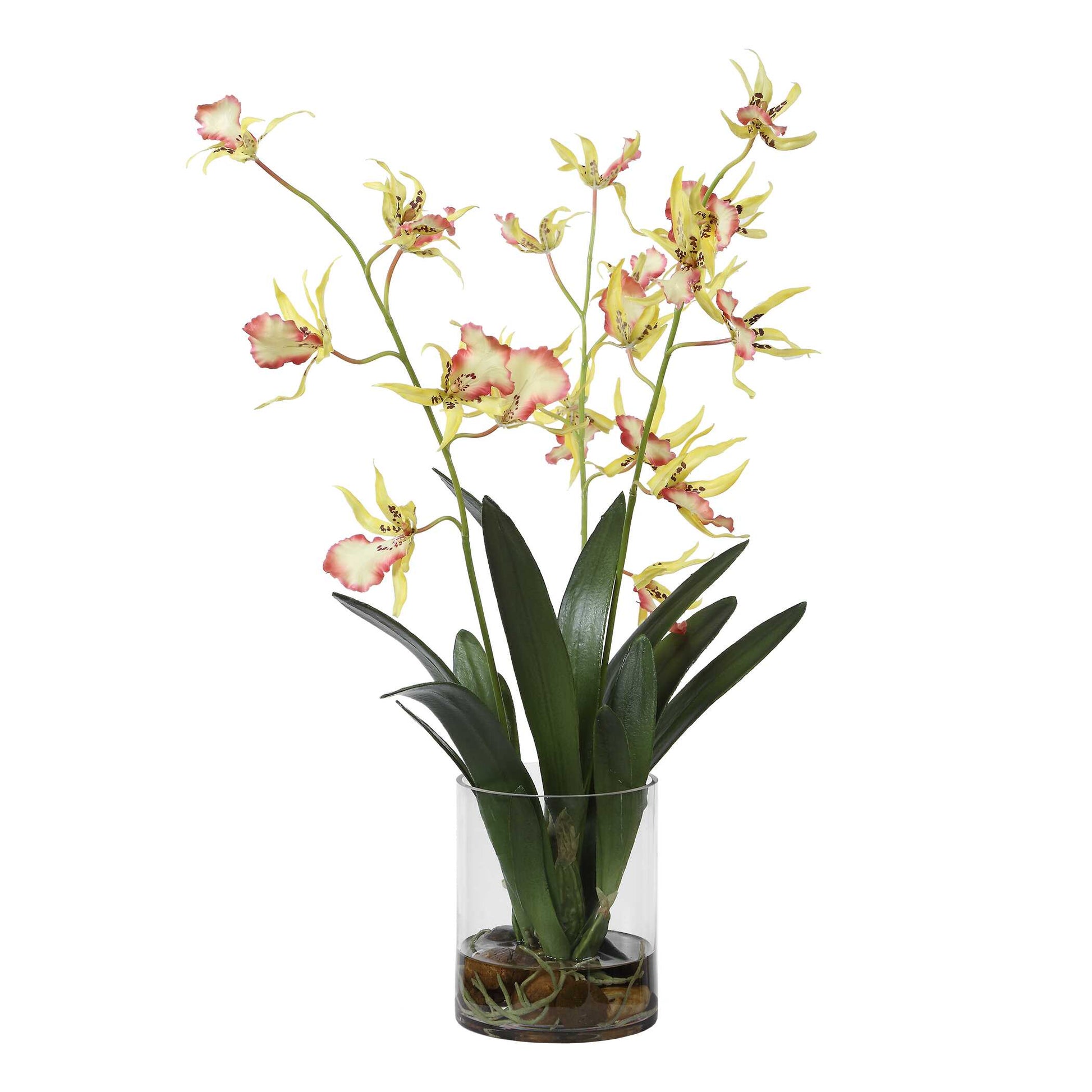 Uttermost Spider Orchid In Glass Vase