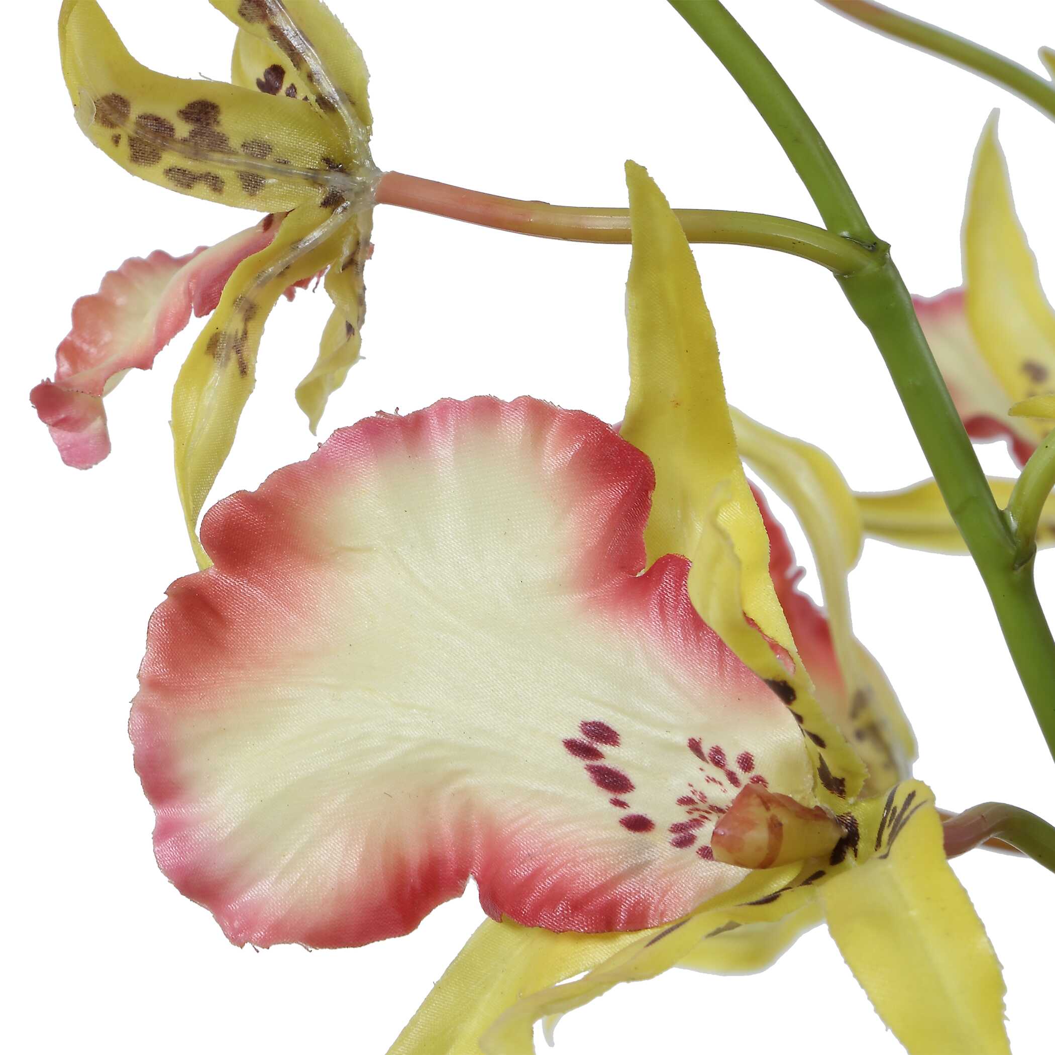 Uttermost Spider Orchid In Glass Vase