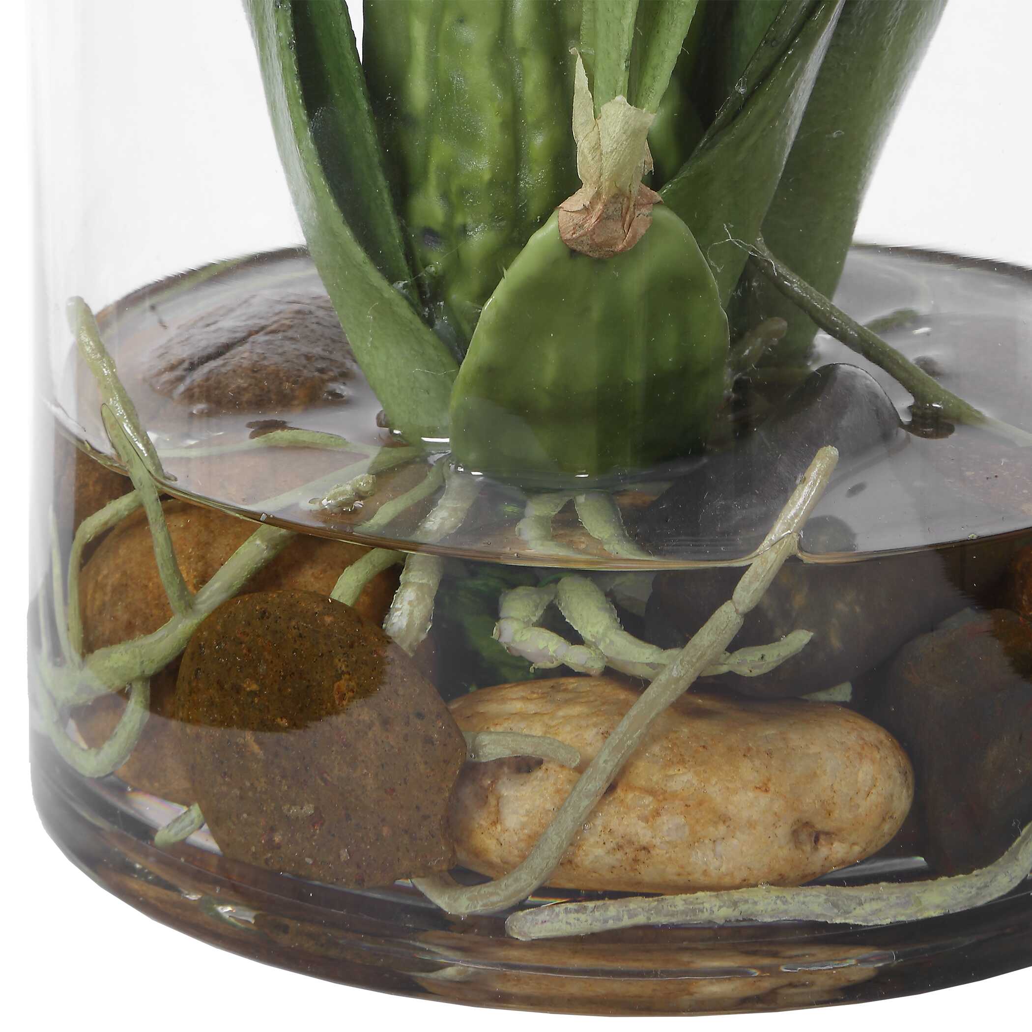 Uttermost Spider Orchid In Glass Vase