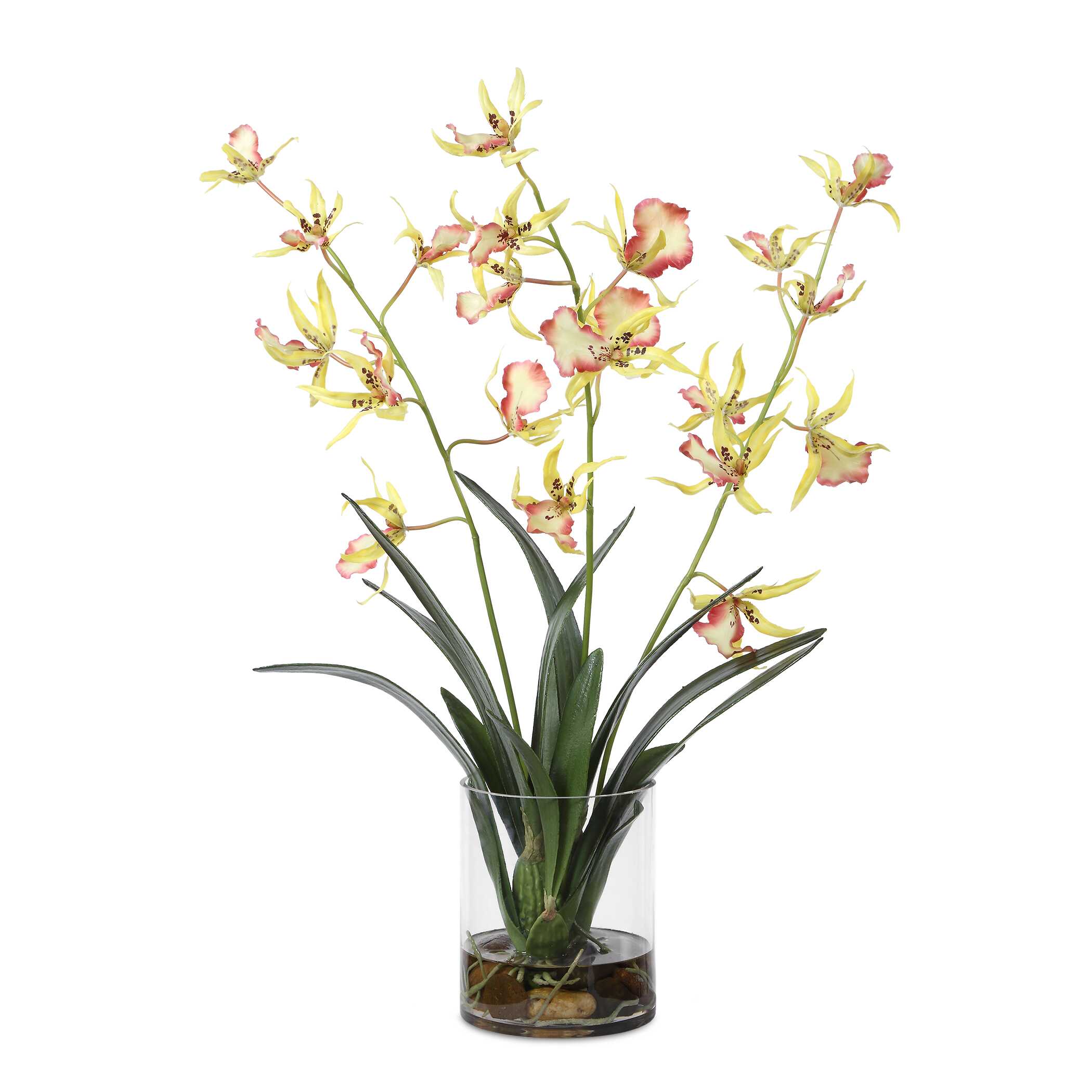 Uttermost Spider Orchid In Glass Vase