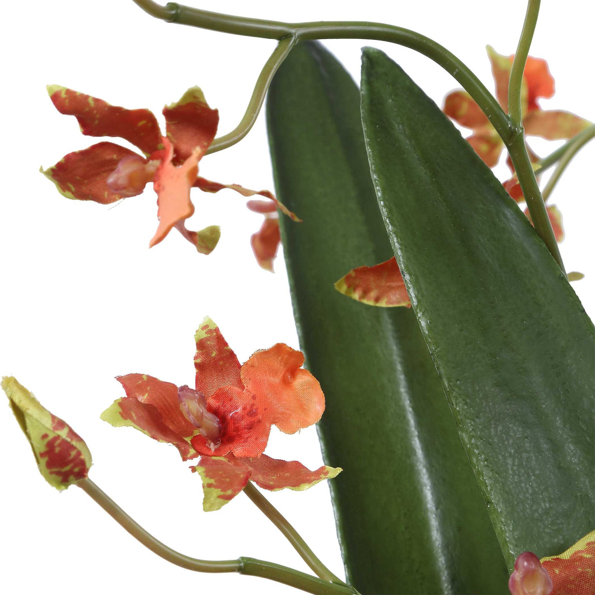 Uttermost Dancing Orchid In Glass Vase