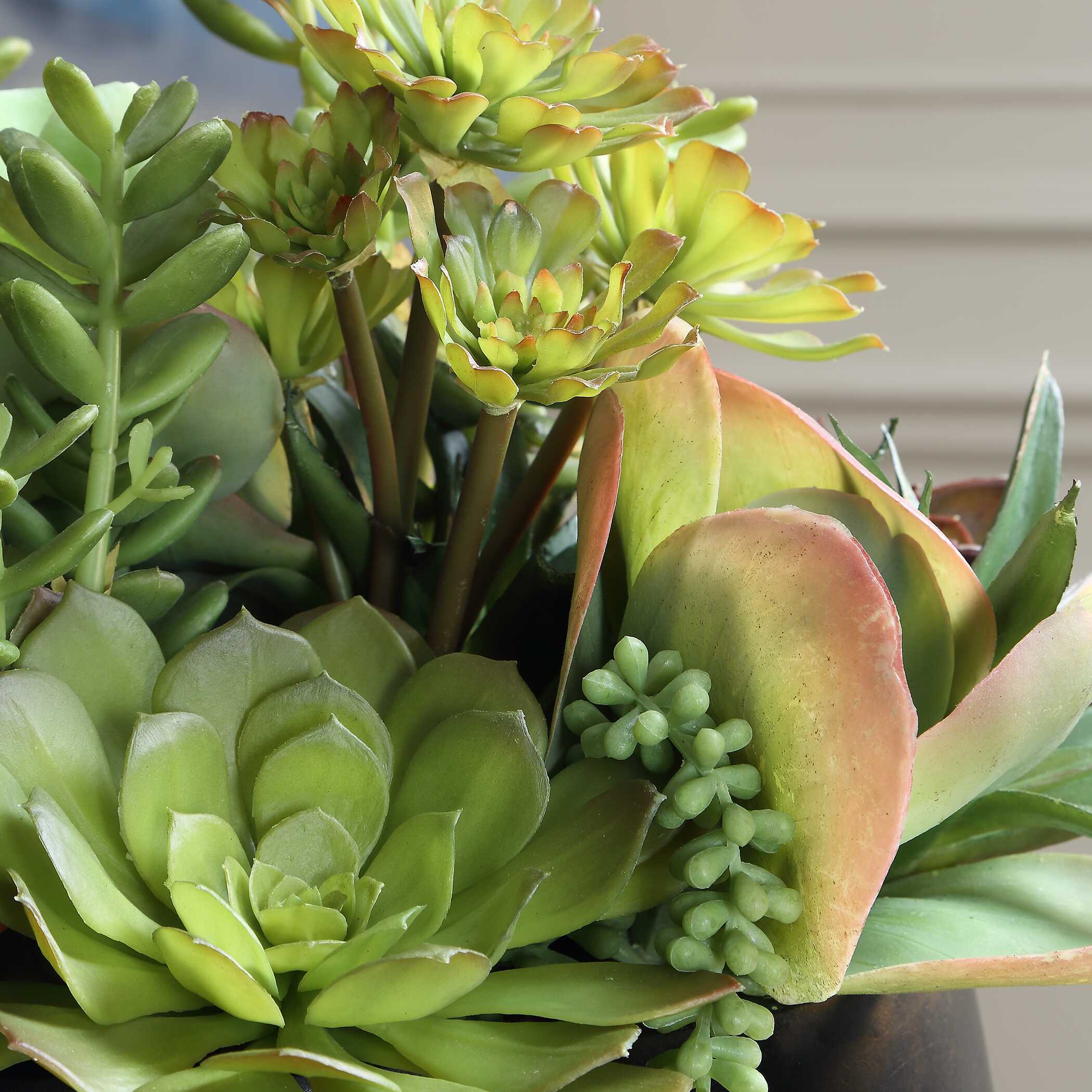 Uttermost Mico Indoor-Outdoor Succulent Centerpiece