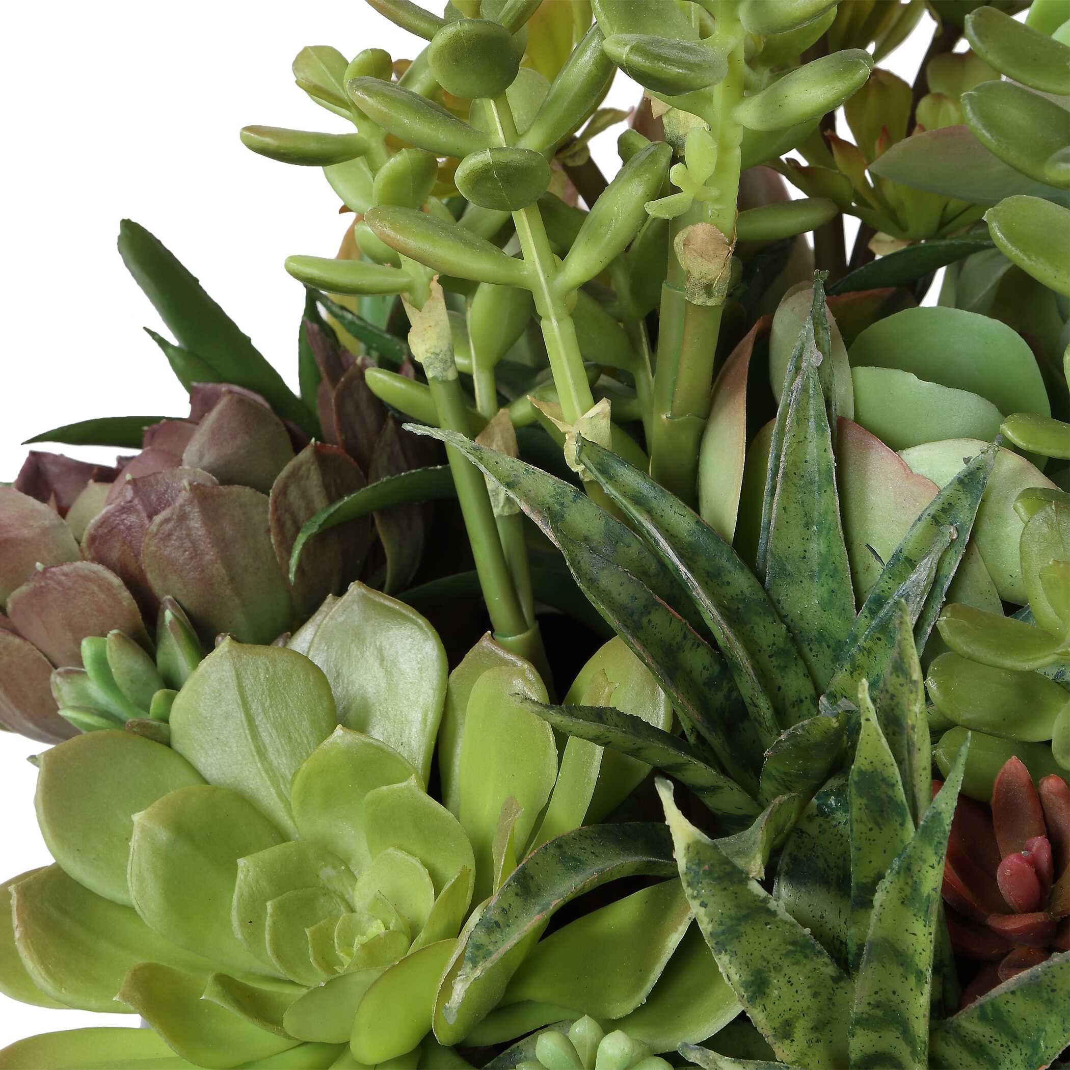 Uttermost Mico Indoor-Outdoor Succulent Centerpiece
