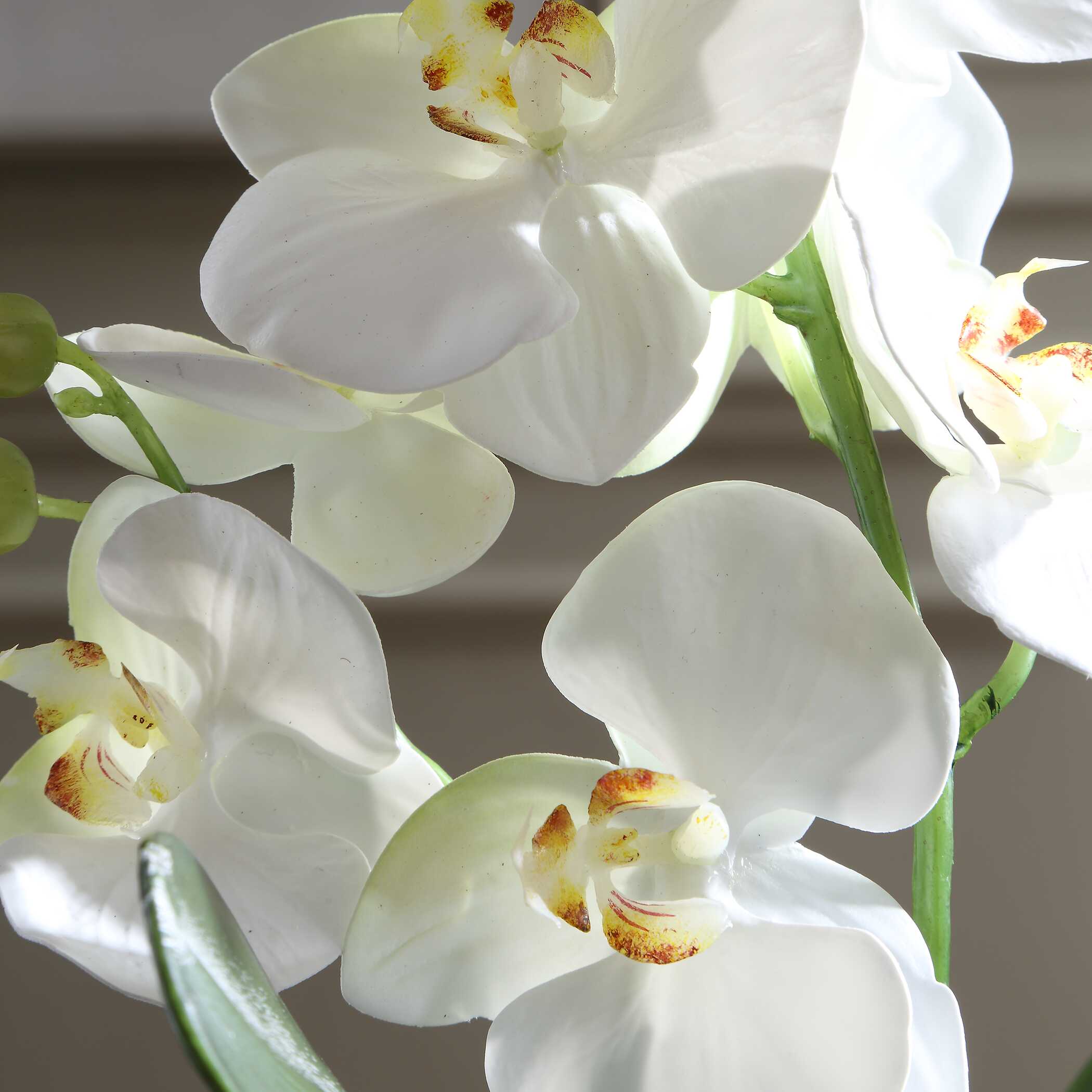 Uttermost Laris Orchid Drop-In