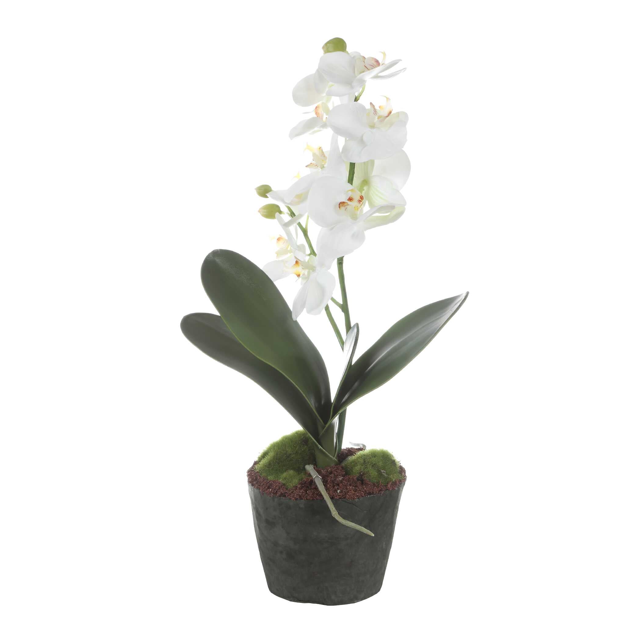 Uttermost Laris Orchid Drop-In