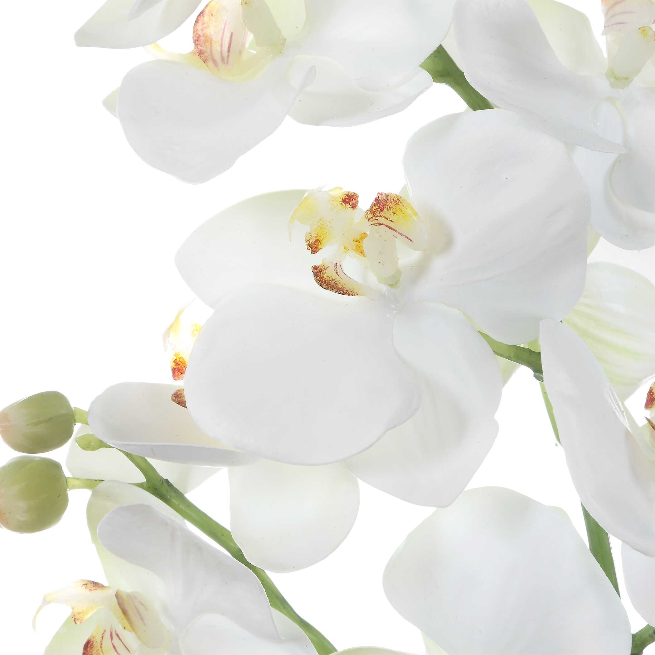 Uttermost Laris Orchid Drop-In