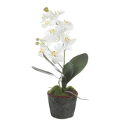 Uttermost Laris Orchid Drop-In