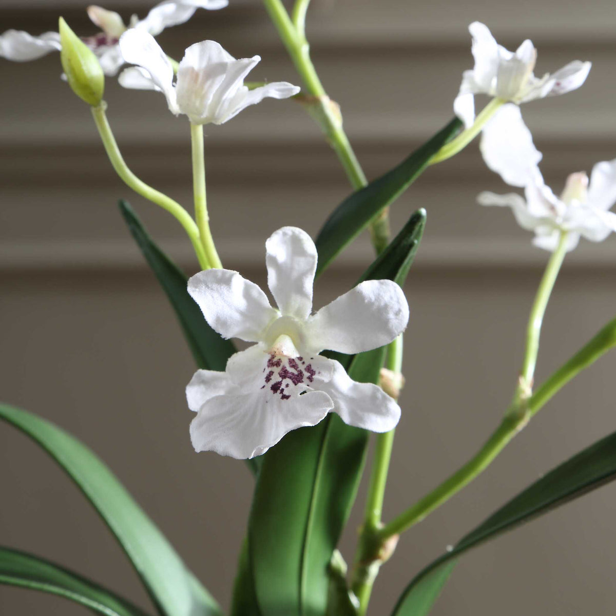 Uttermost Clovis Orchid Drop-In