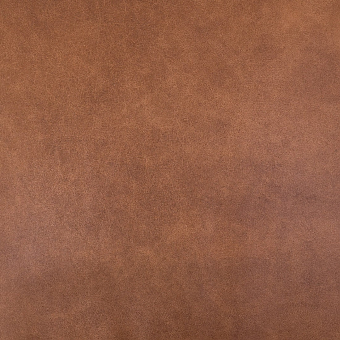 CASH-83J-253,BRADEN LEATHER CHAIR,Brandy