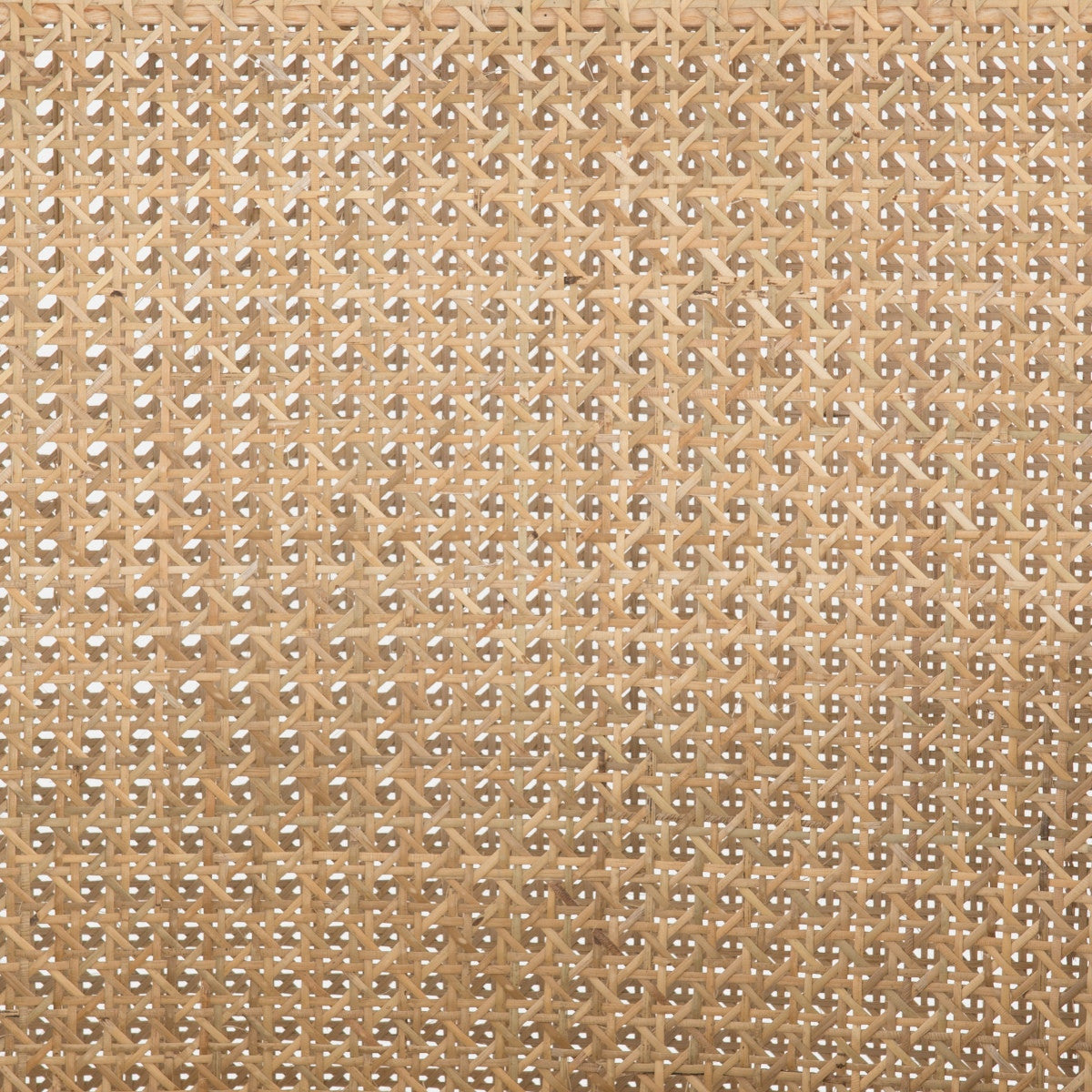 CASH-1841219-084P,ANTONIA CANE ARMLESS DINING CHAIR