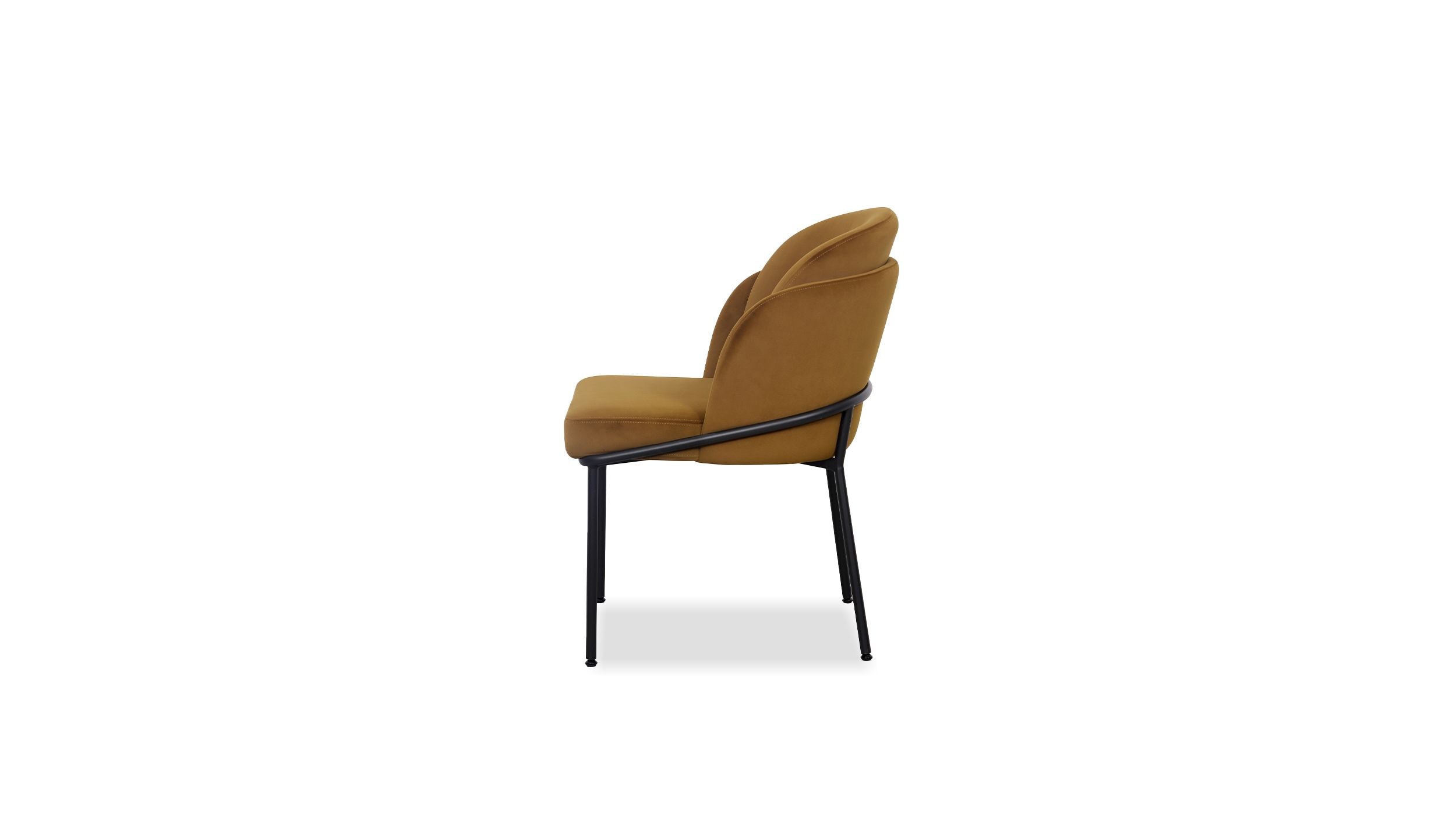 Wallen Dining Chair