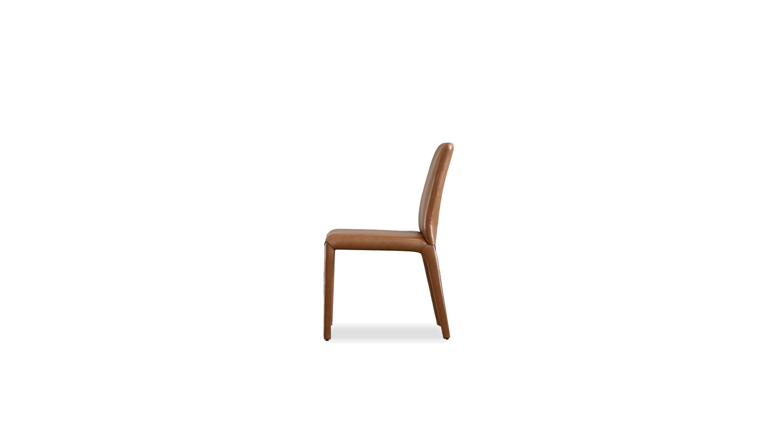 Zeg Dining Chair