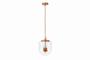 Delphi Pendant Lamp - Coarse Gold and Clear Glass