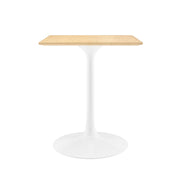 Lippa 24" Square Wood Dining Table - White Natural