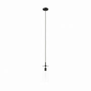 Skylark Pendant Light - Clear Black