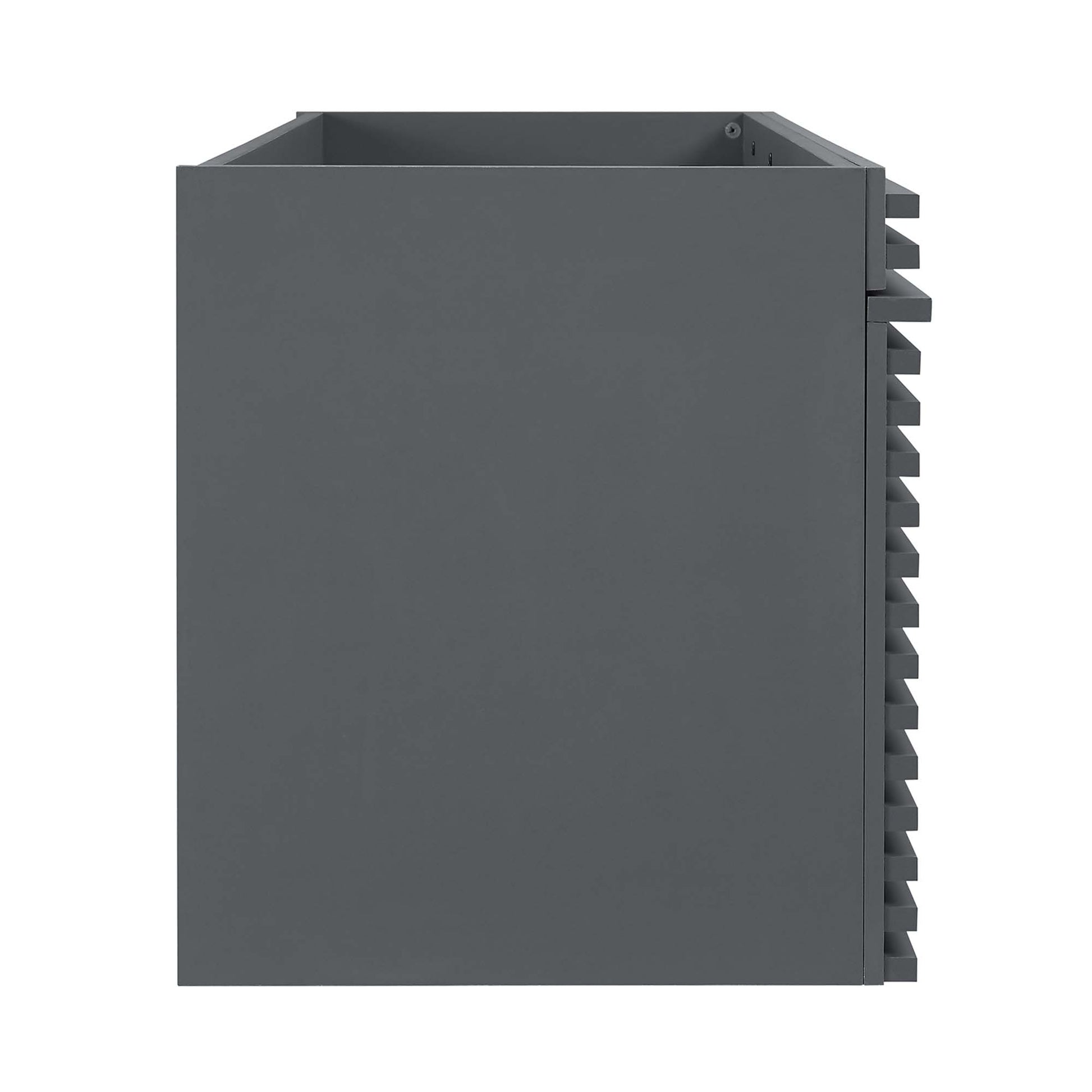Render 48" Double Sink Compatible (Not Included) Bathroom Vanity Cabinet