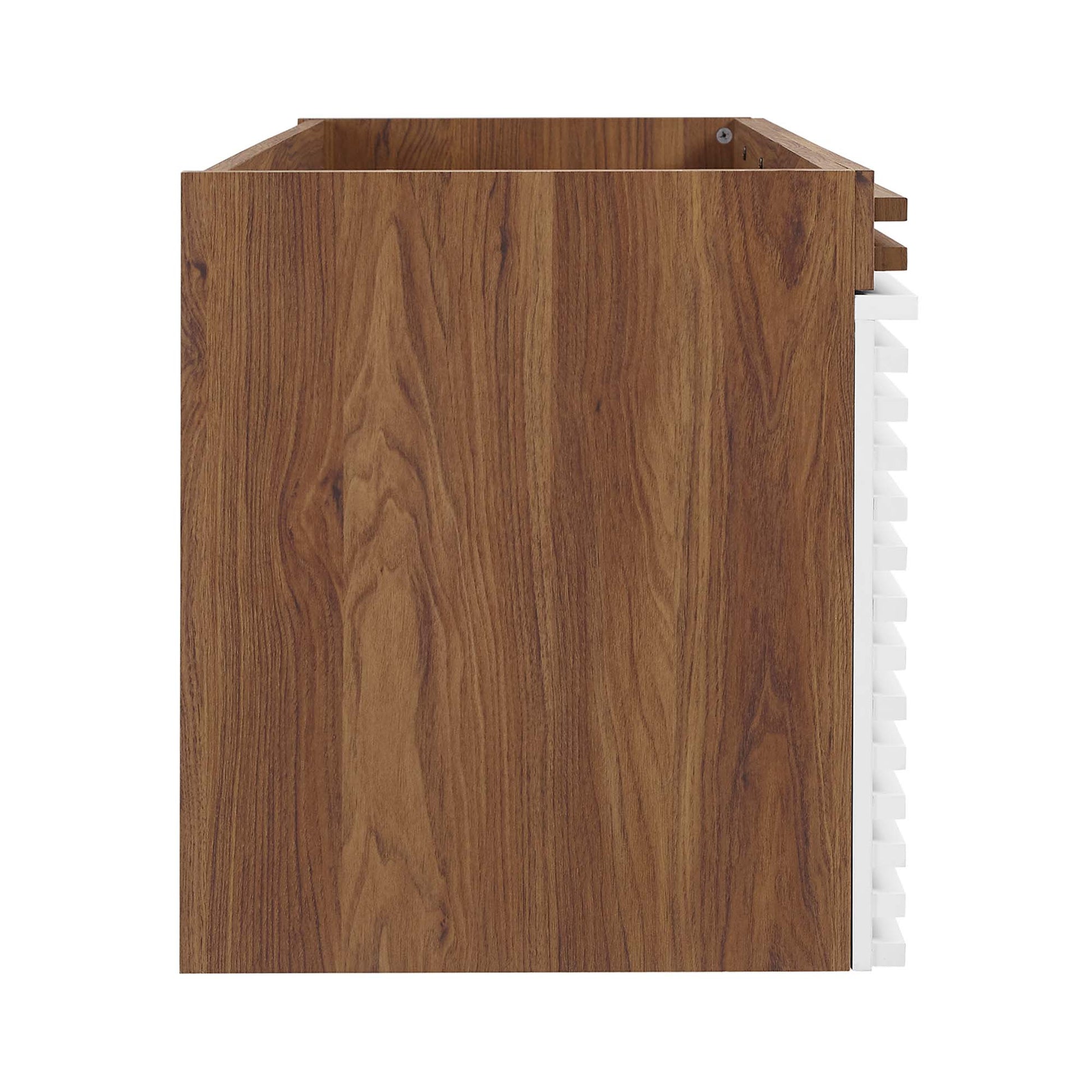 Render 48" Double Sink Compatible (Not Included) Bathroom Vanity Cabinet