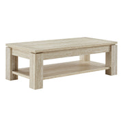 Hollis Travertine Coffee Table - Travertine