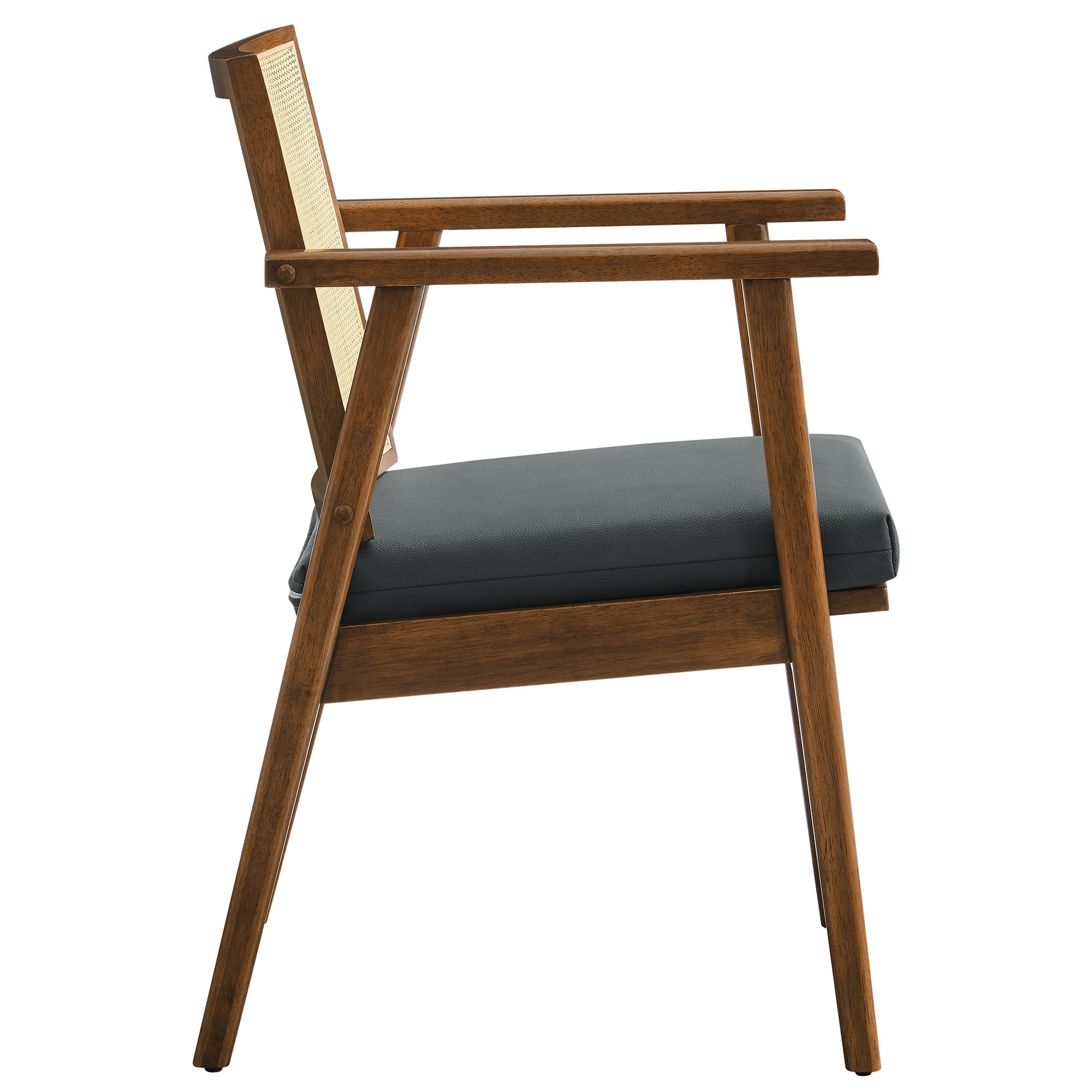 Thera Vegan Leather and Cane Accent Armchairs Set of 2