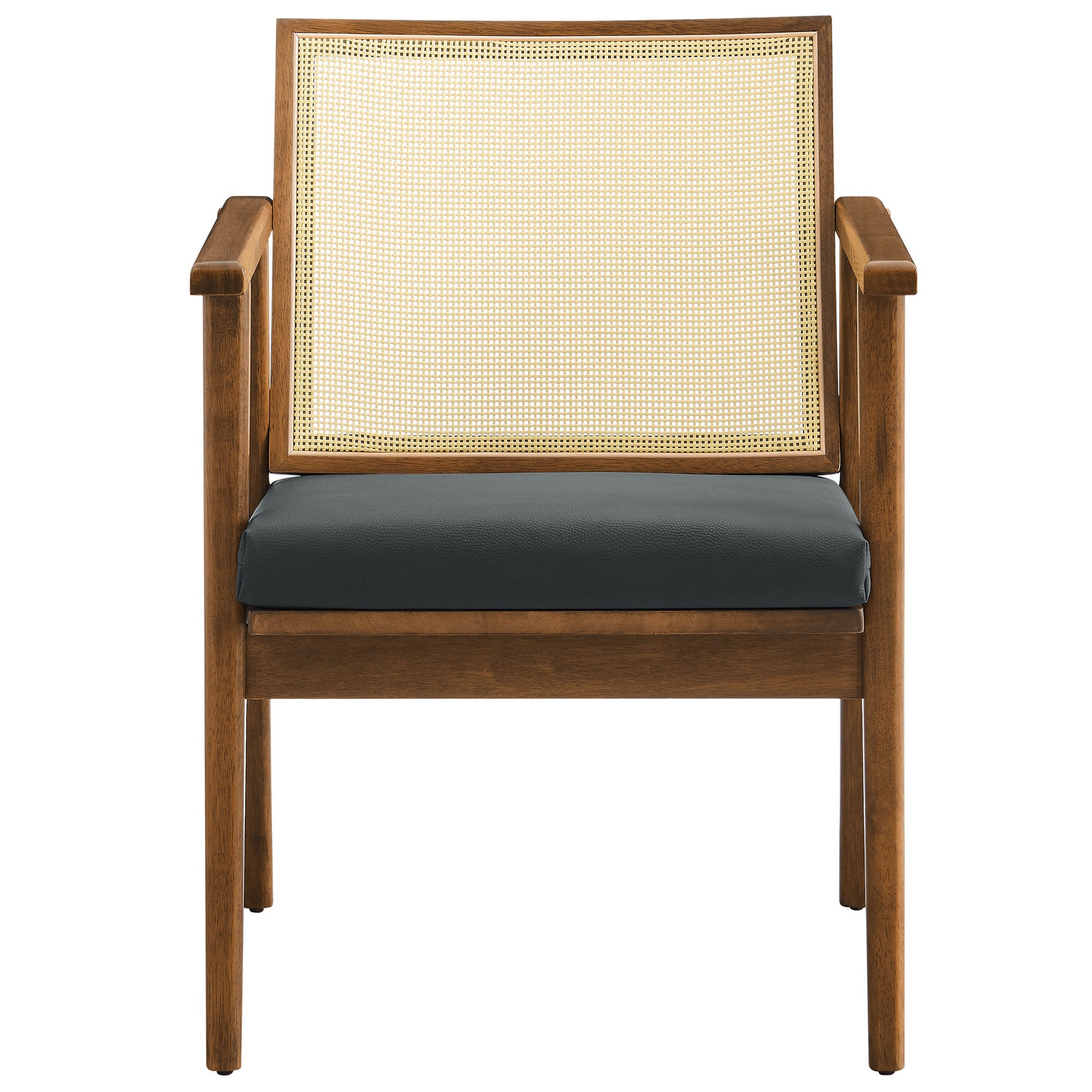 Thera Vegan Leather and Cane Accent Armchairs Set of 2