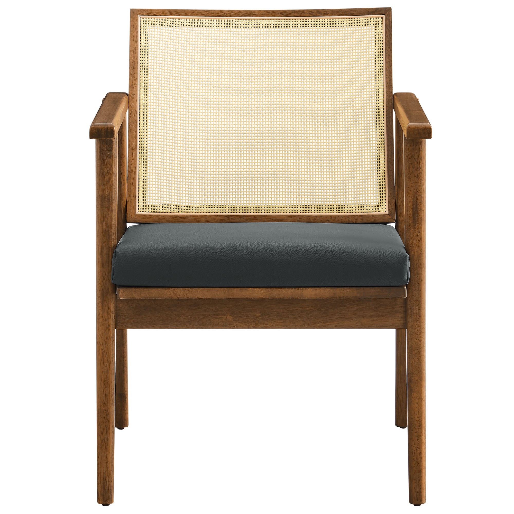 Thera Vegan Leather and Cane Accent Armchairs Set of 2