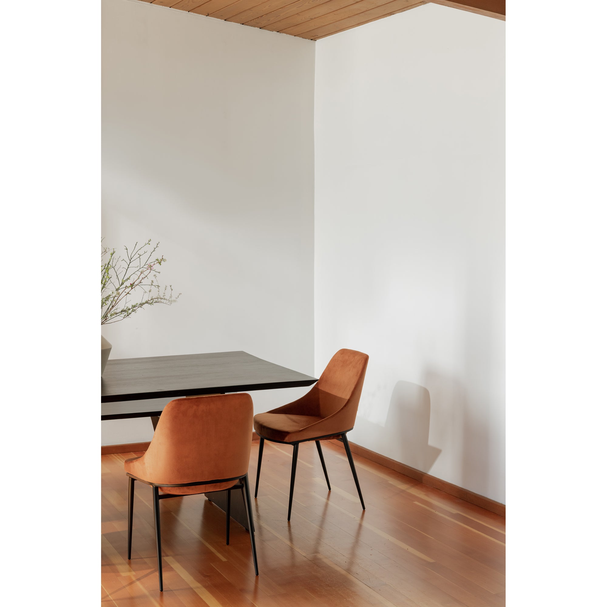 Sedona Dining Chair Amber - Set Of Two by Moe's Home Collection - view 10