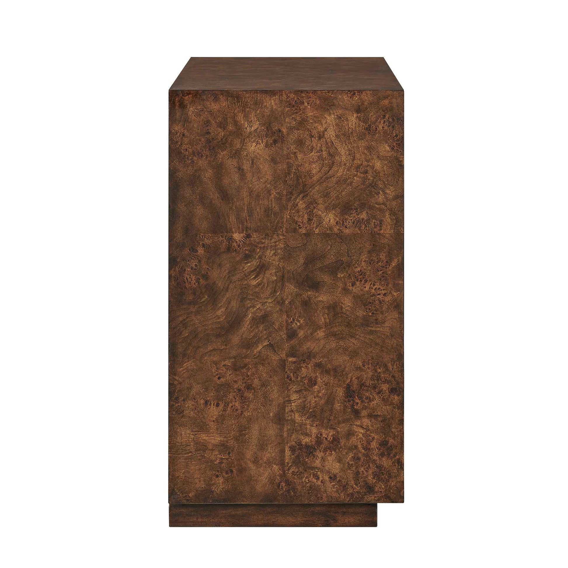 Uttermost Flores Burl Wood 2 Door Cabinet