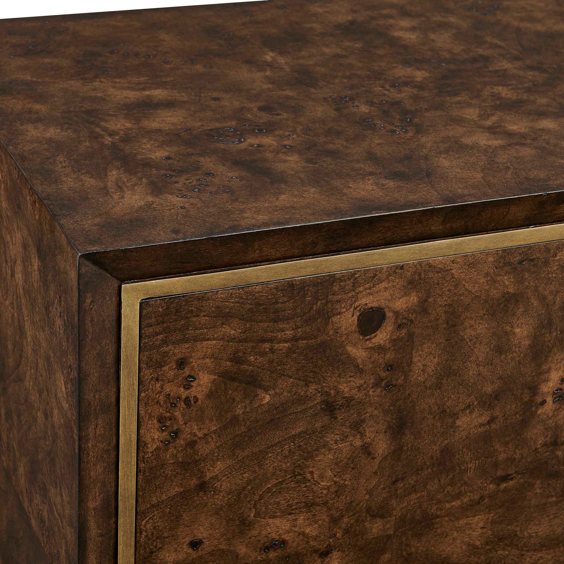 Uttermost Flores Burl Wood 2 Door Cabinet