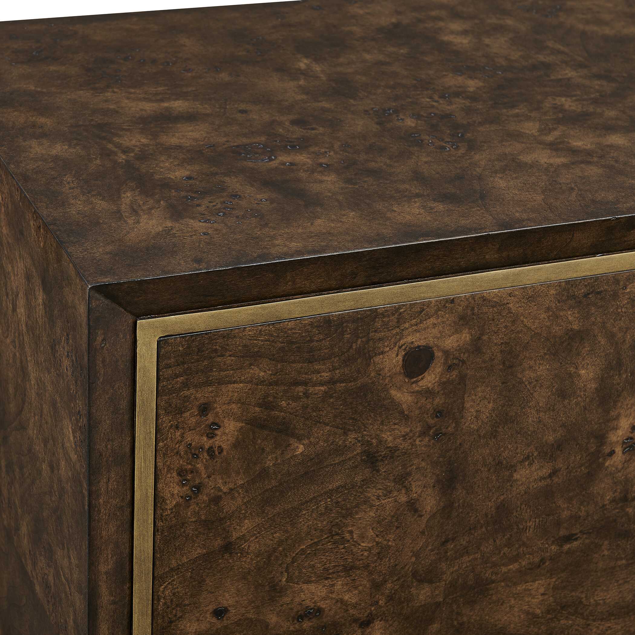 Uttermost Flores Burl Wood 2 Door Cabinet