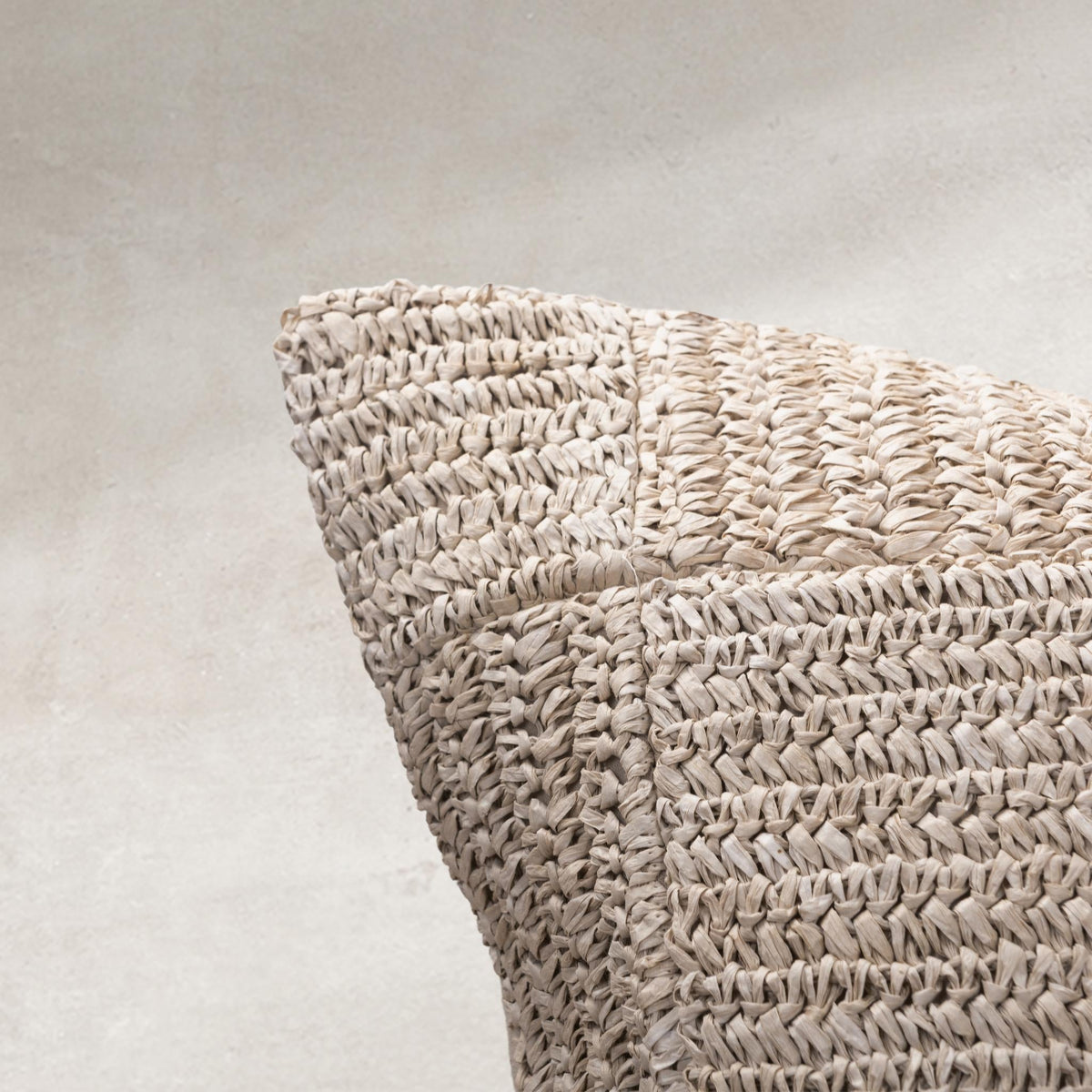 SLD Merrit Pillow - Natural / 20"x20" by Classic Home - view 5