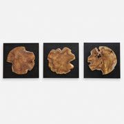 Uttermost Kolini Teak Wood Wall Decor, S/3