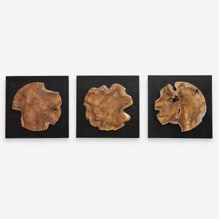 Kolini Teak Wood Wall Decor, S/3