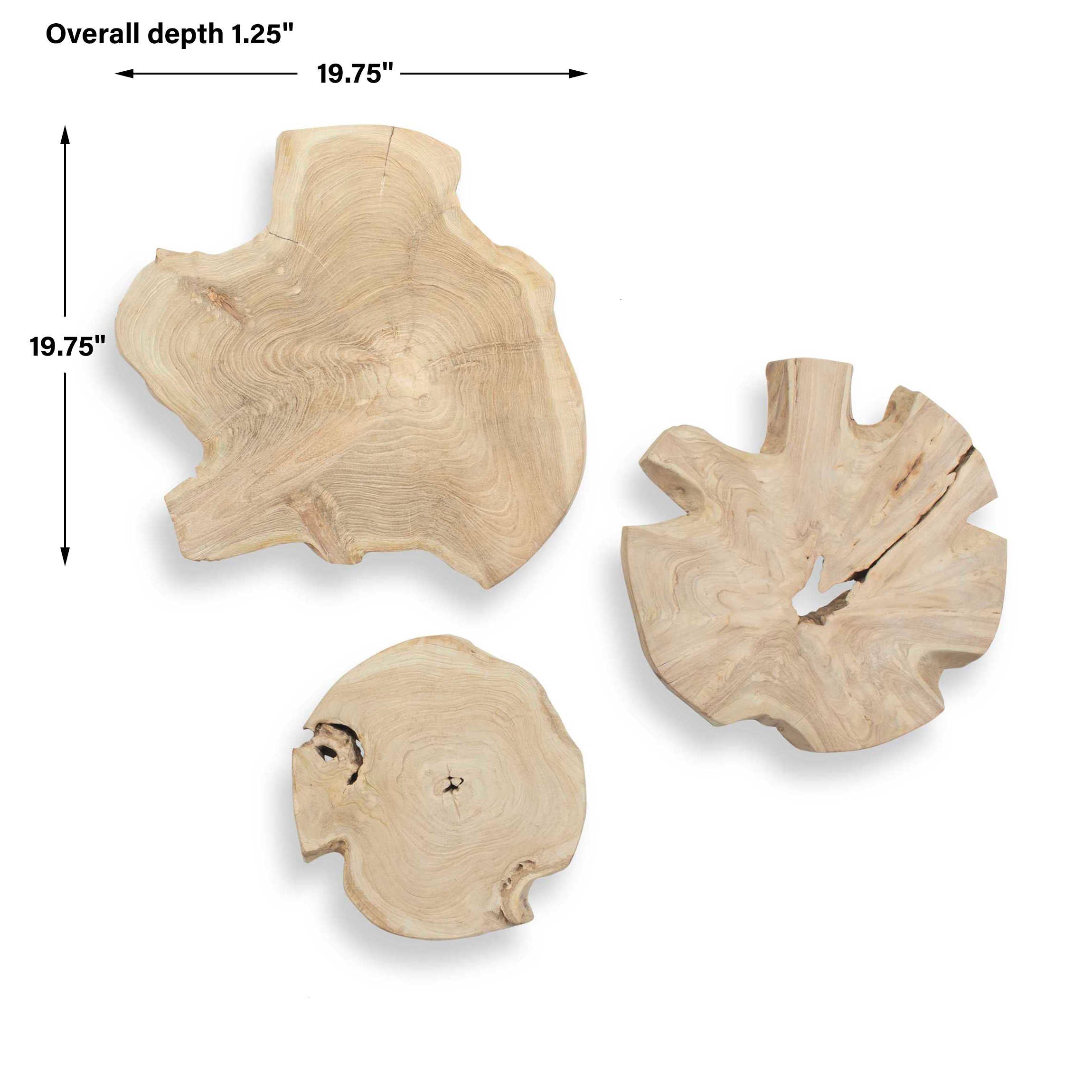 Uttermost Kalani Wood Outdoor Wall Art Set/3