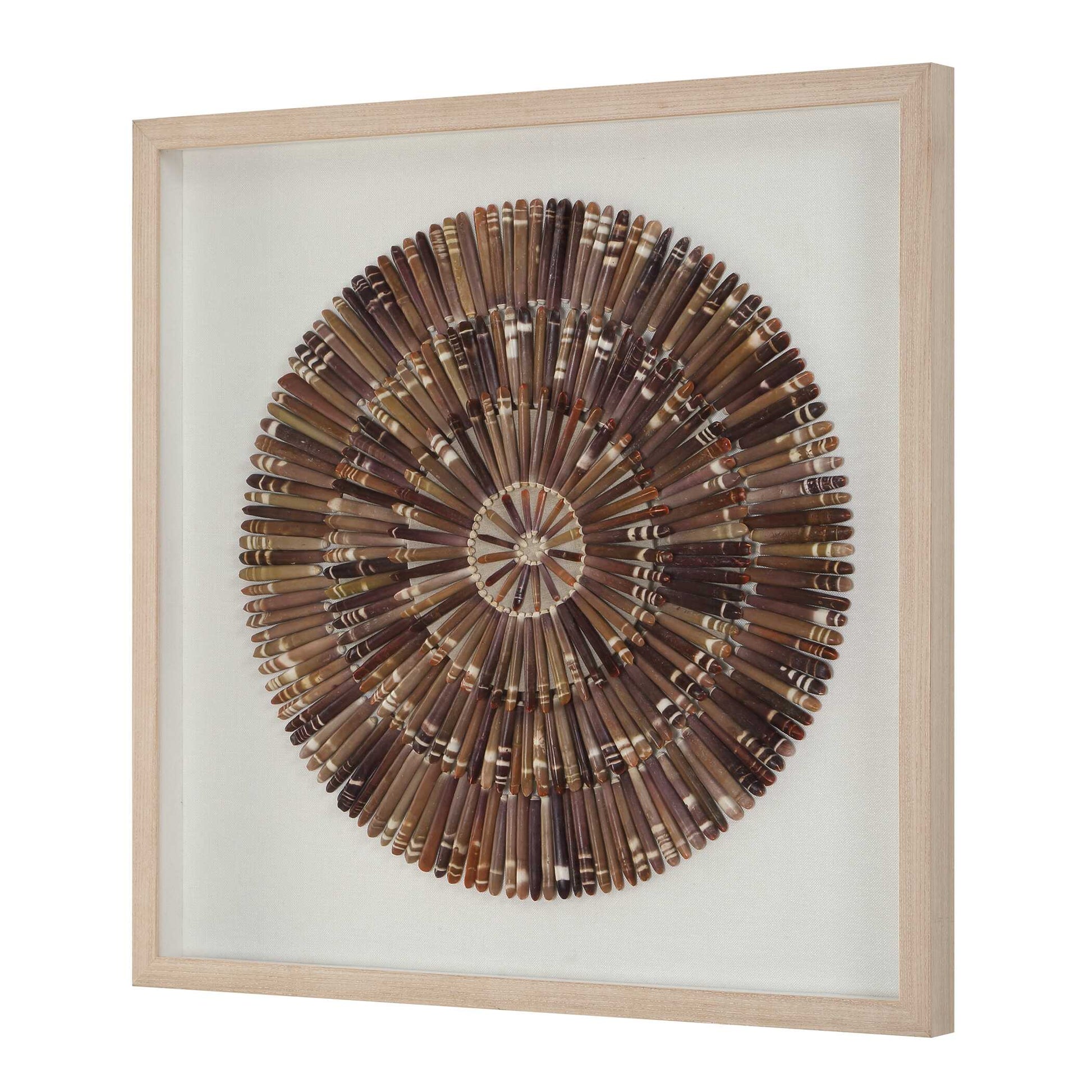 Uttermost Tiger Sea Urchin Shadow Box