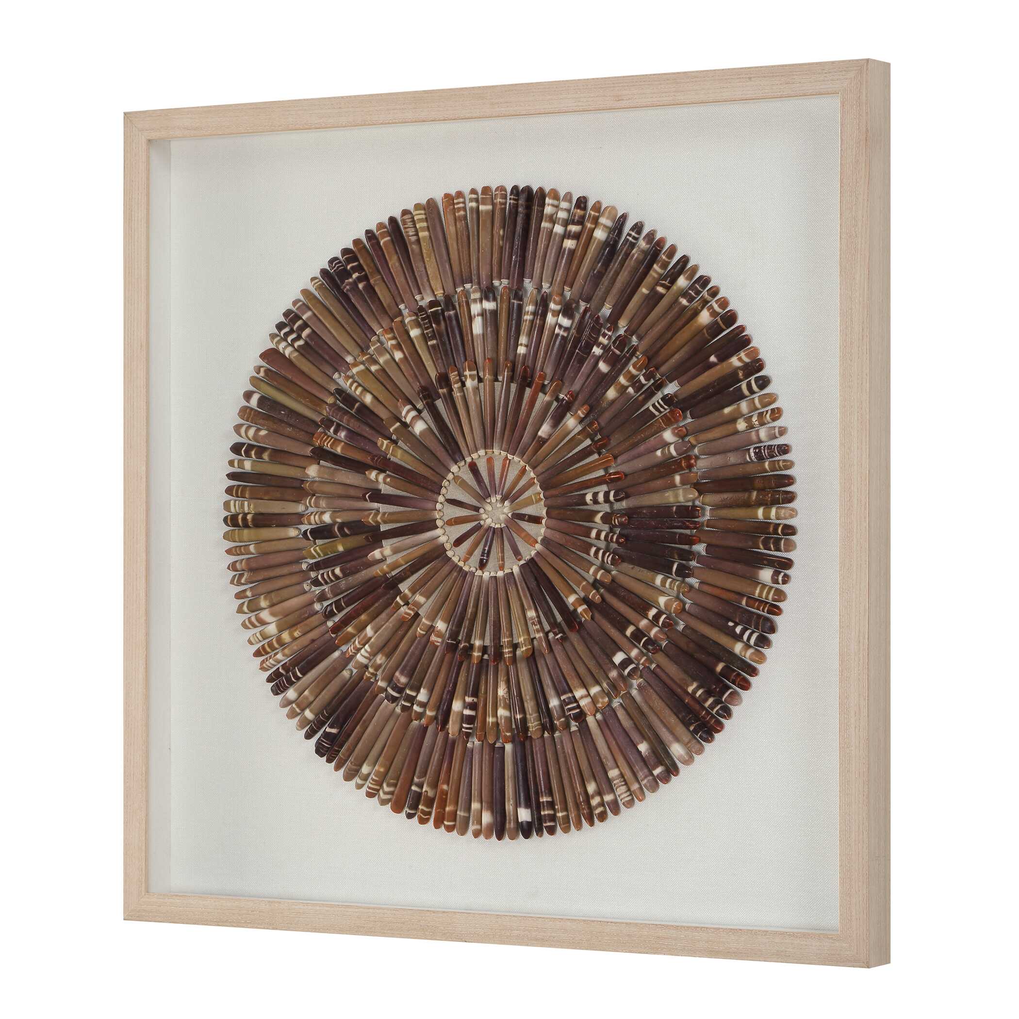 Uttermost Tiger Sea Urchin Shadow Box