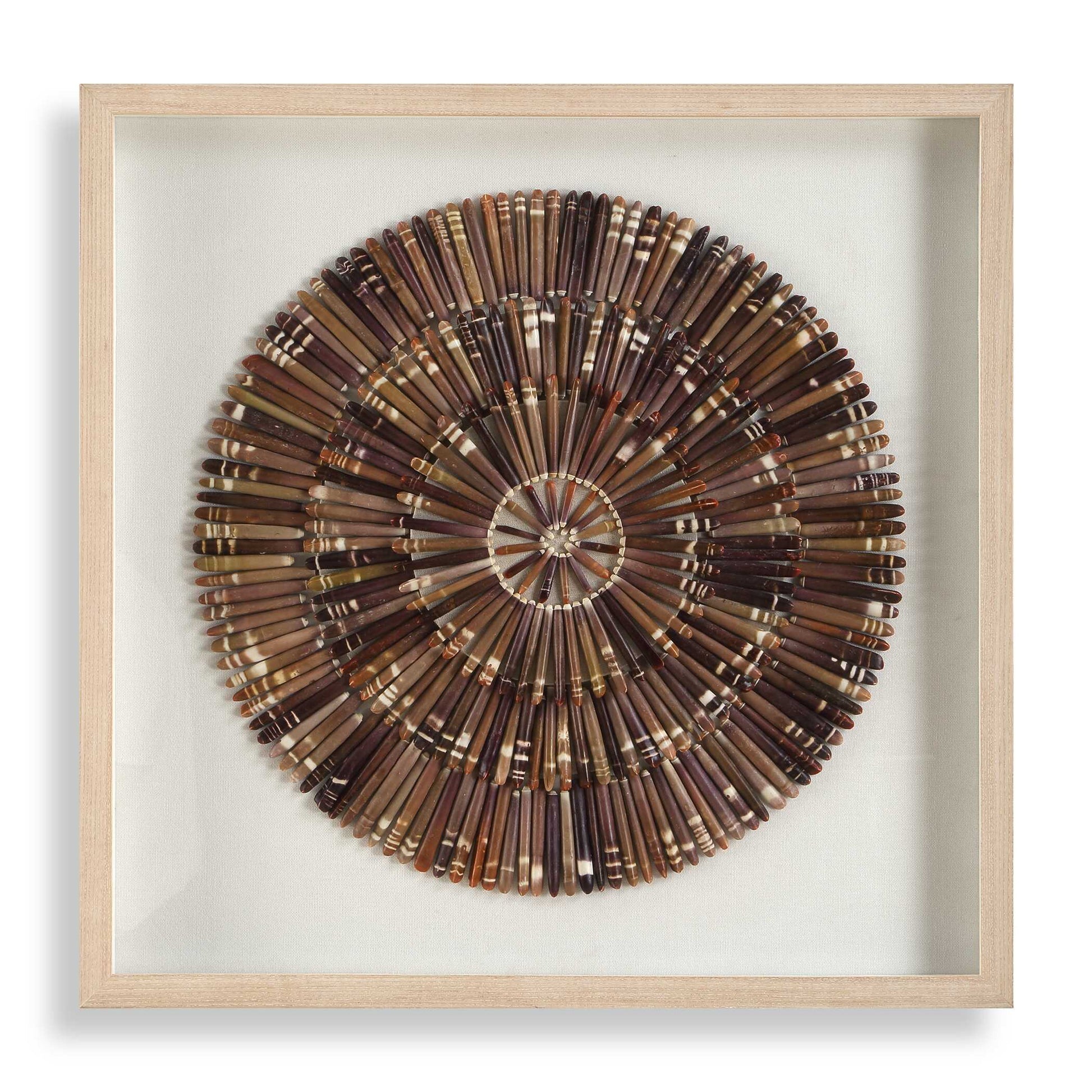 Uttermost Tiger Sea Urchin Shadow Box
