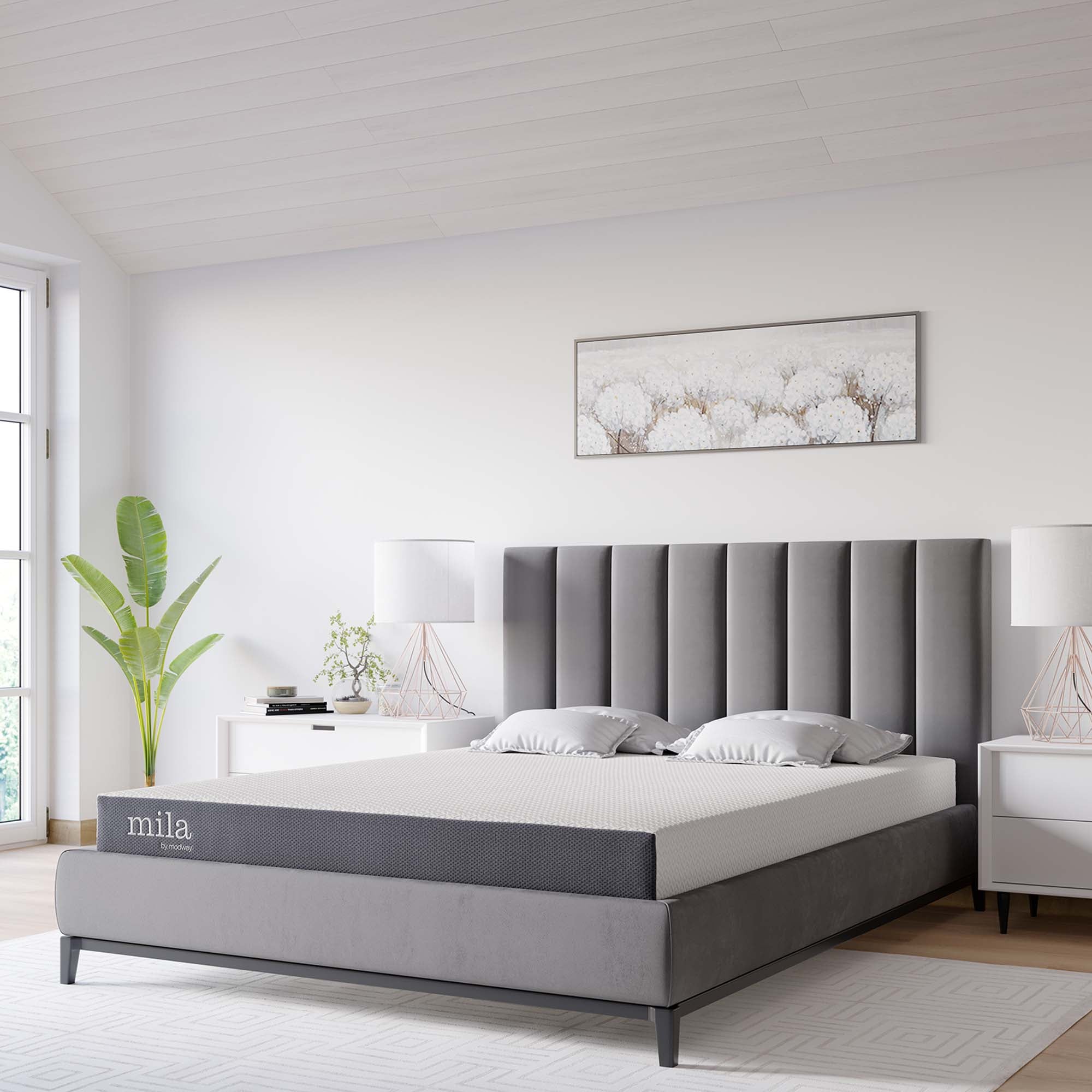 Mila 6" Queen Mattress