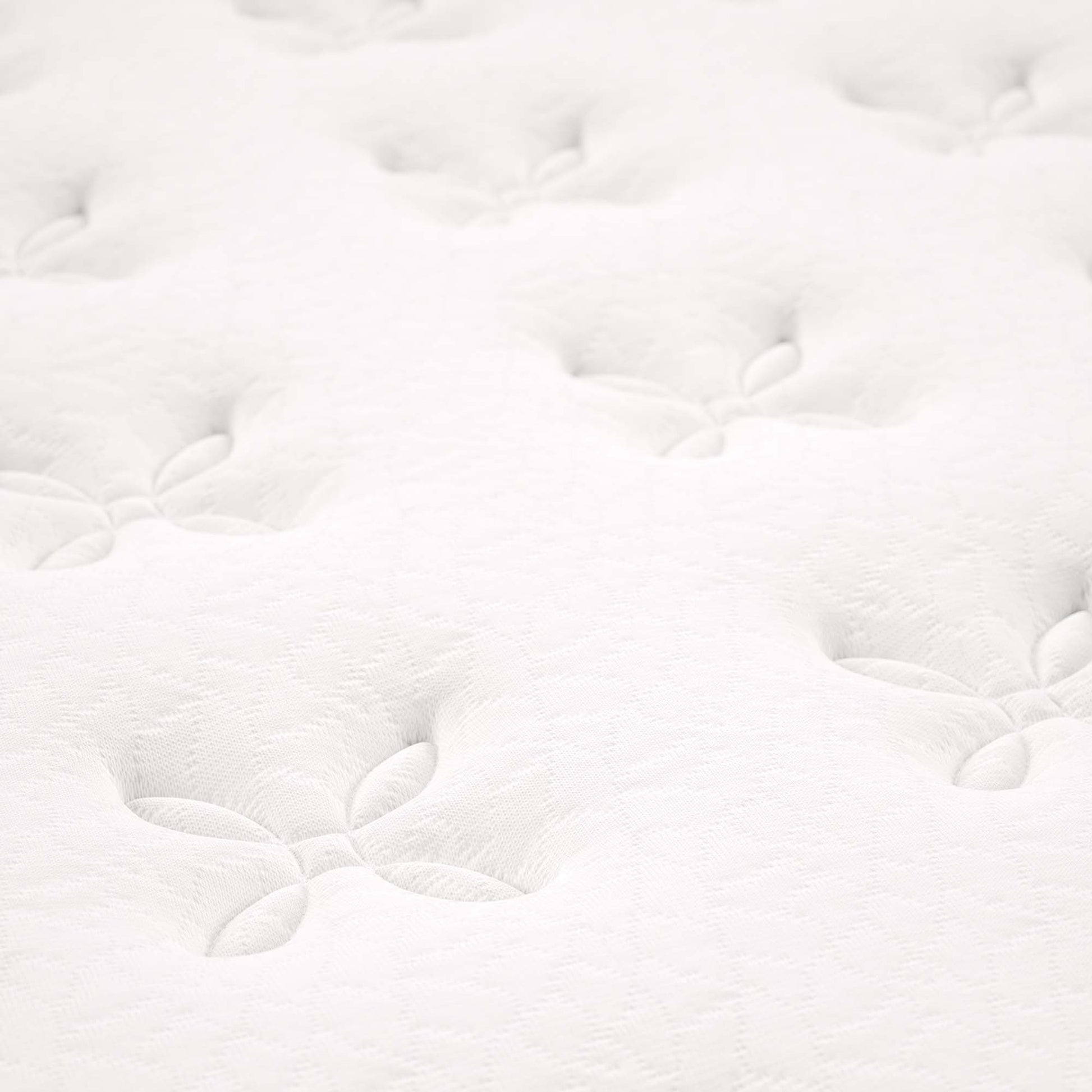 Jenna 8" Innerspring and Foam Twin Mattress