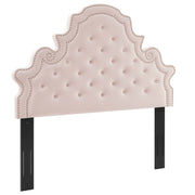Diana Tufted Performance Velvet Headboard - Pink