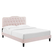 Amber Performance Velvet Platform Bed With Black Wood Legs - Pink