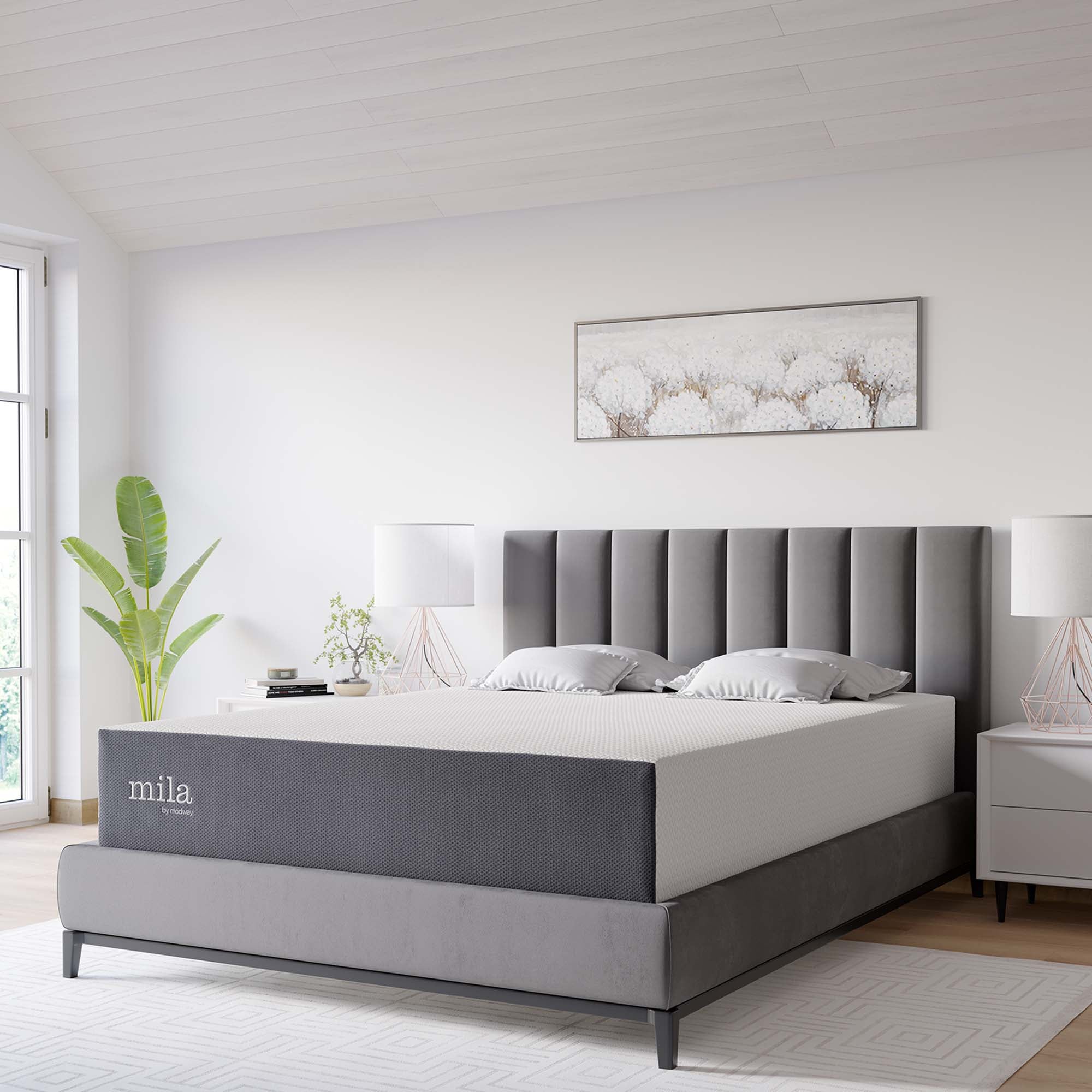 Mila 12" Queen Mattress