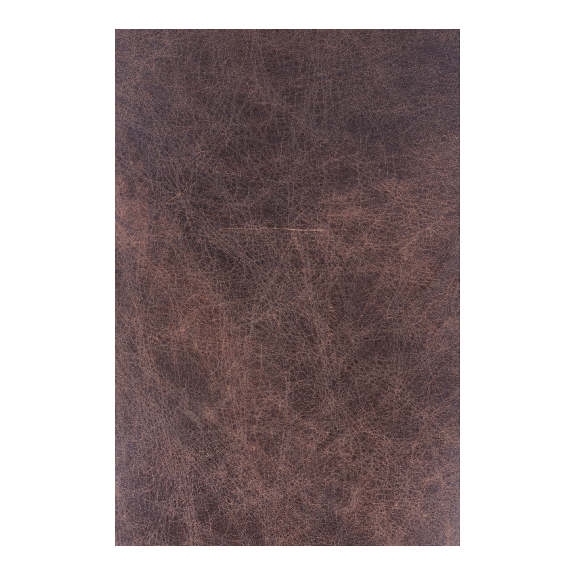 Carlisle Club Chair Brown by Moe's Home Collection - view 9
