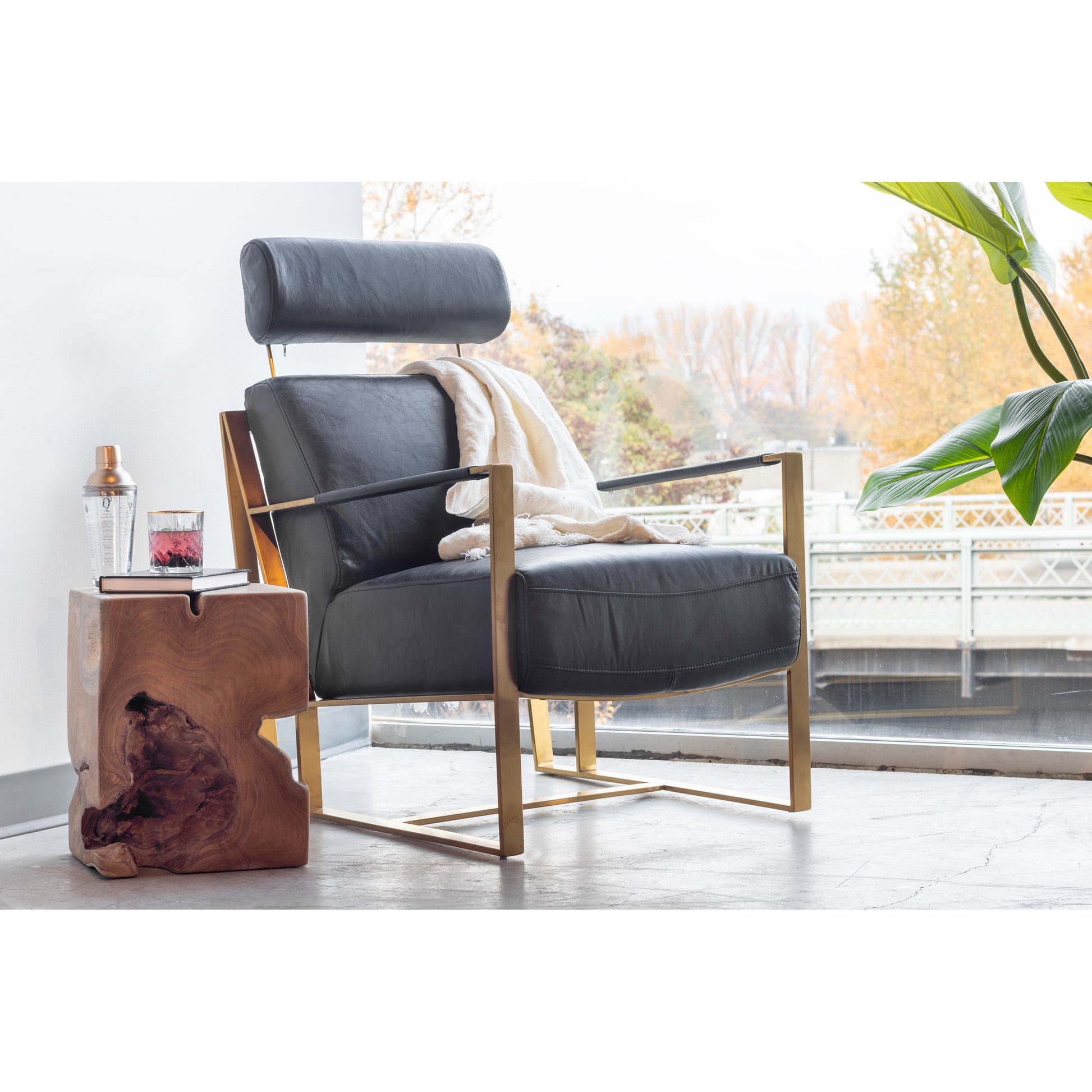 Paradiso Chair Black by Moe's Home Collection - view 11