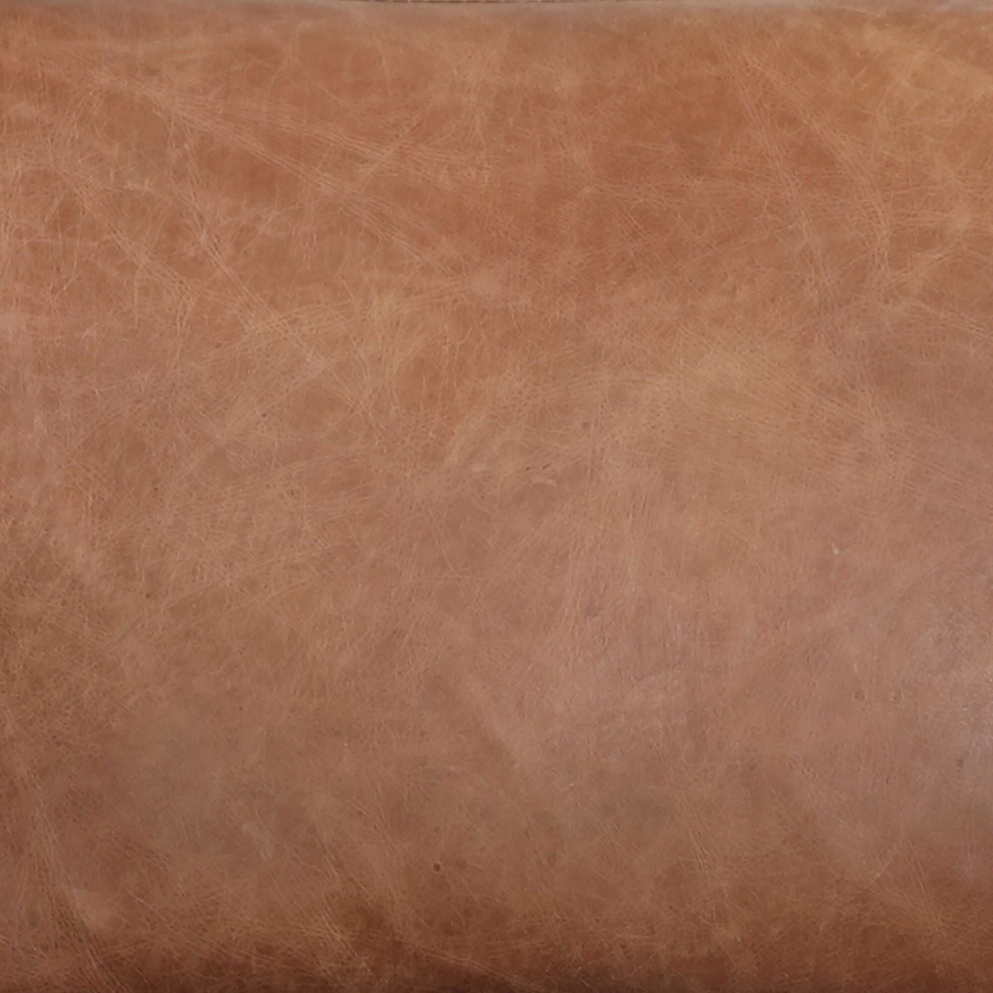Dagwood Leather Armchair Open Road Brown by Moe's Home Collection - view 6