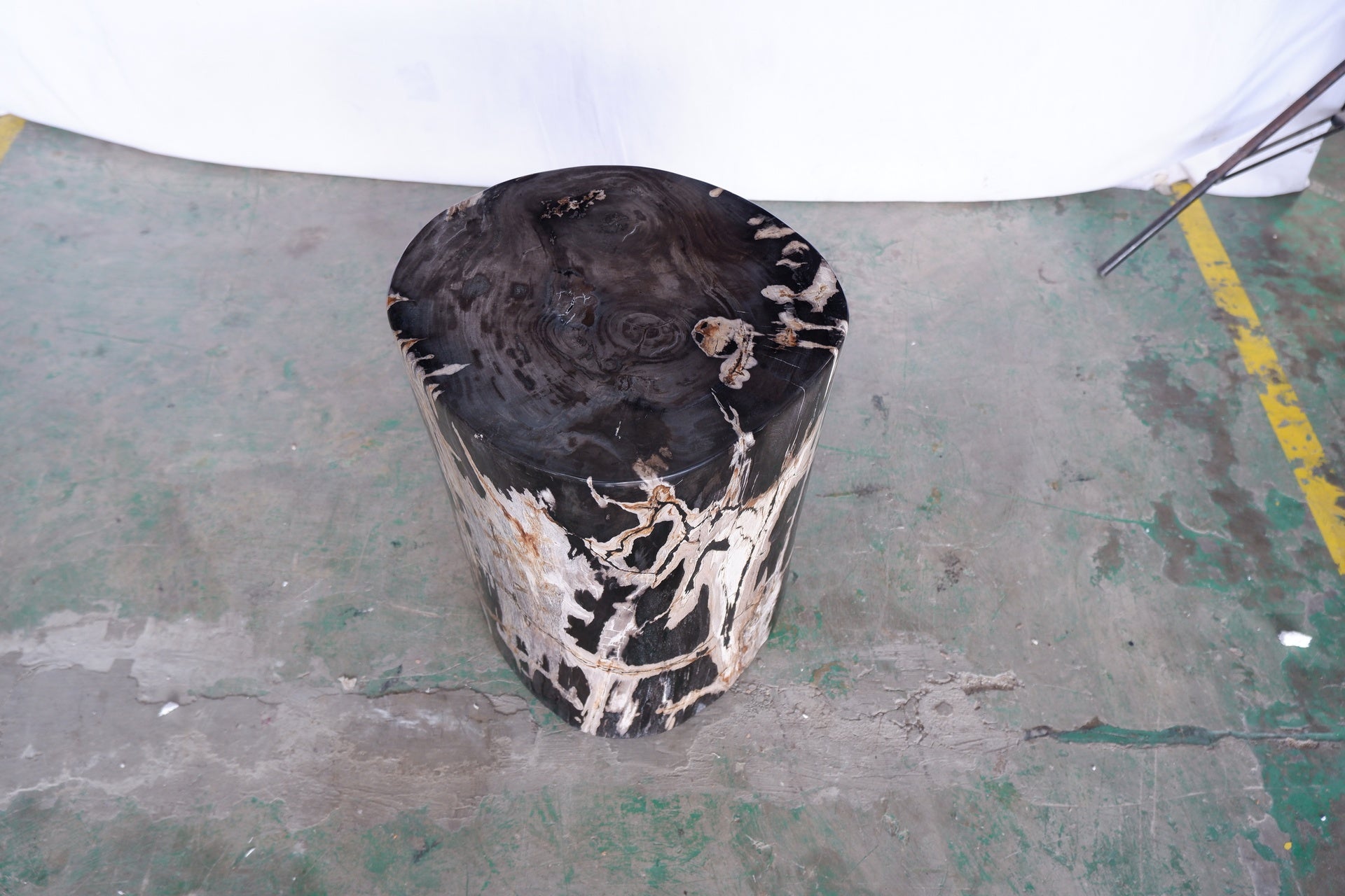 Polished Petrified Wood Stump - Natural Dark by Urbia