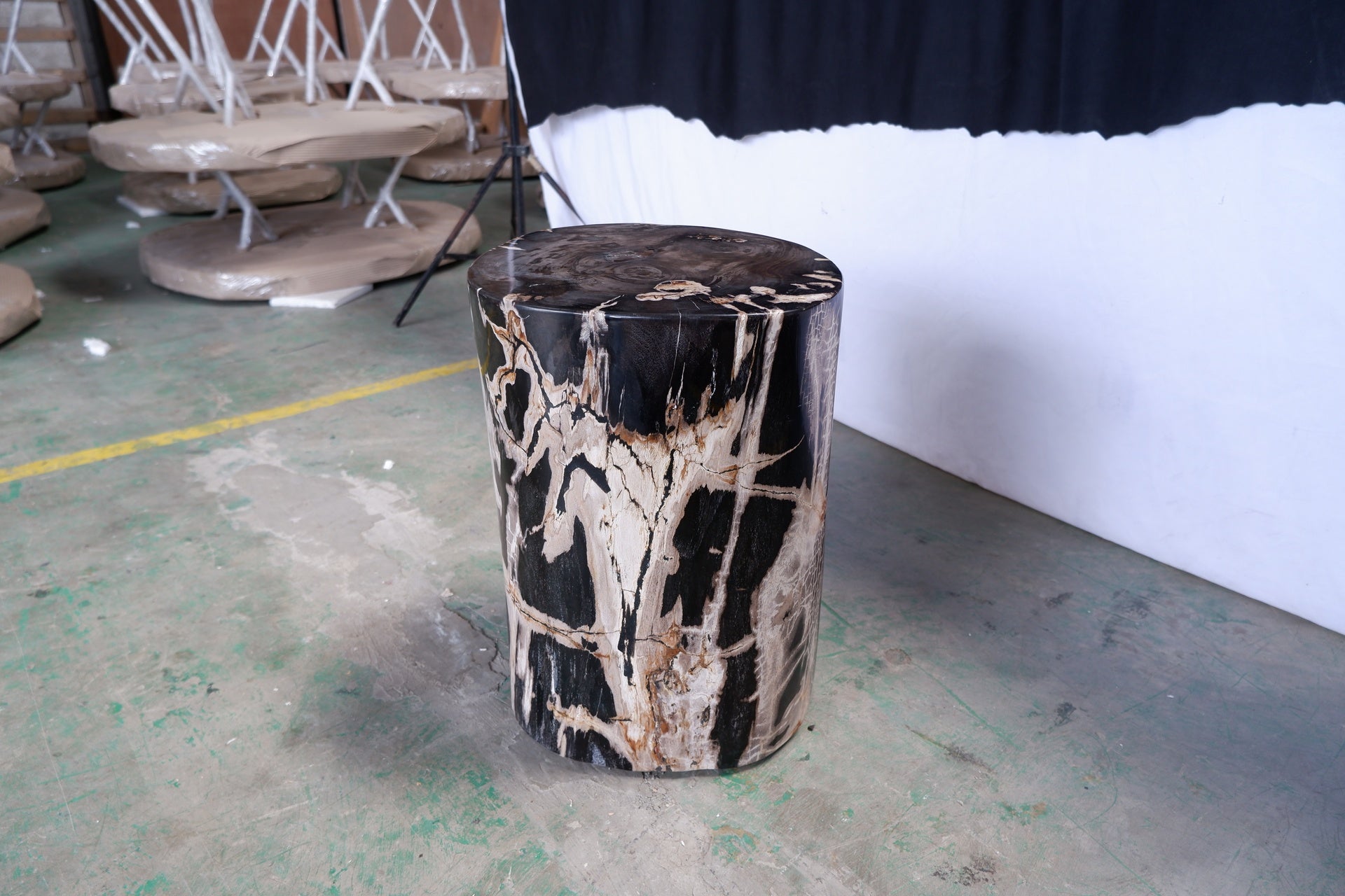 Polished Petrified Wood Stump - Natural Dark by Urbia