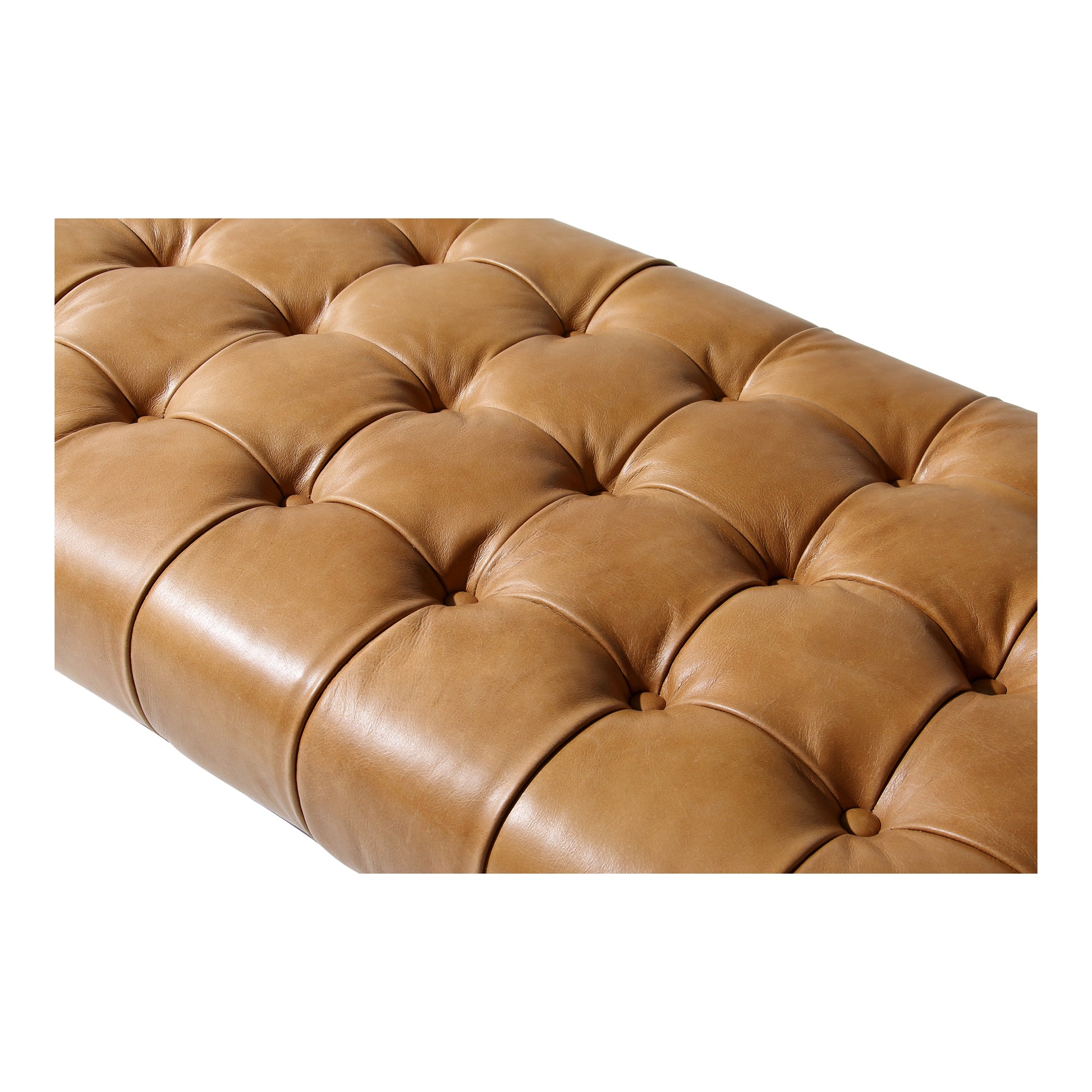 Wyatt Leather Bench Tan by Moe's Home Collection - view 4