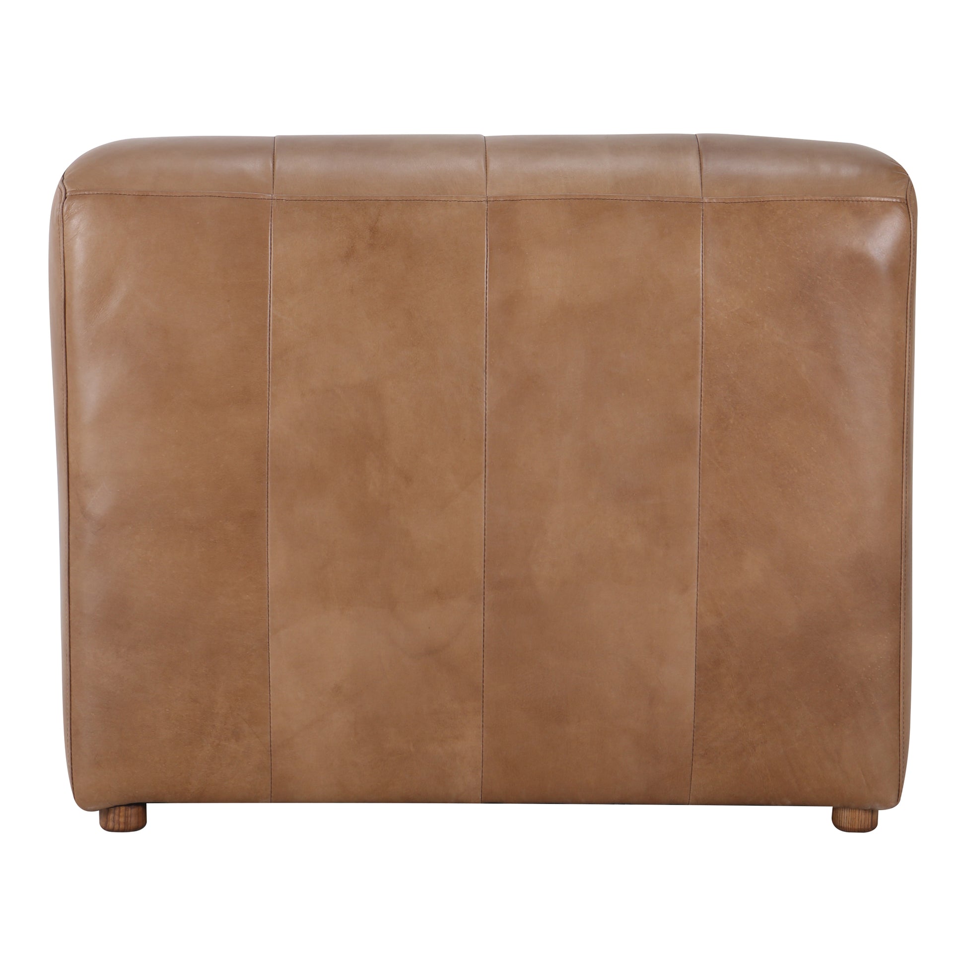 Ramsay Leather Slipper Chair Tan by Moe's Home Collection - view 4