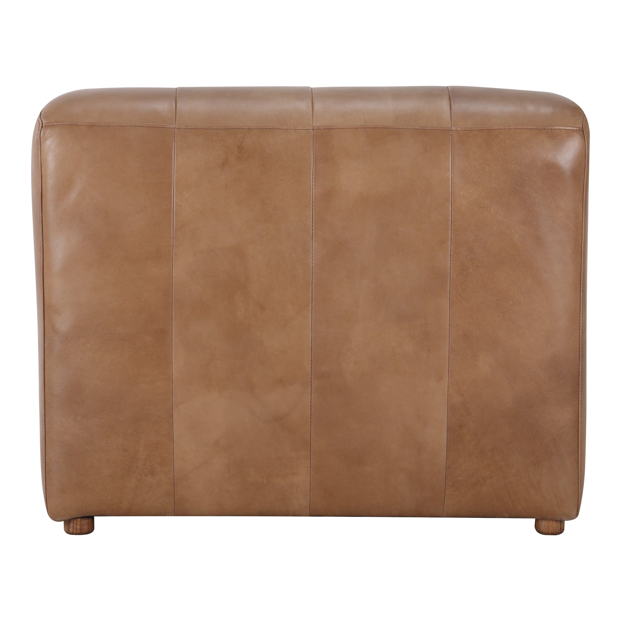 Ramsay Leather Chaise Tan by Moe's Home Collection - view 4