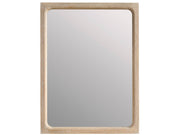 Modern Desert Mirror